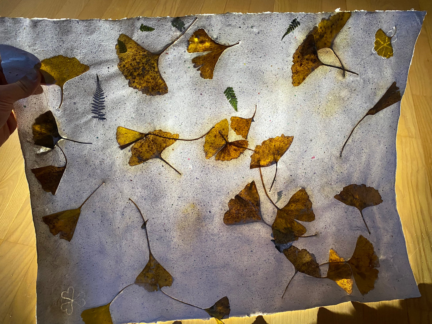 Création "Chute de Feuilles" (format raisin)