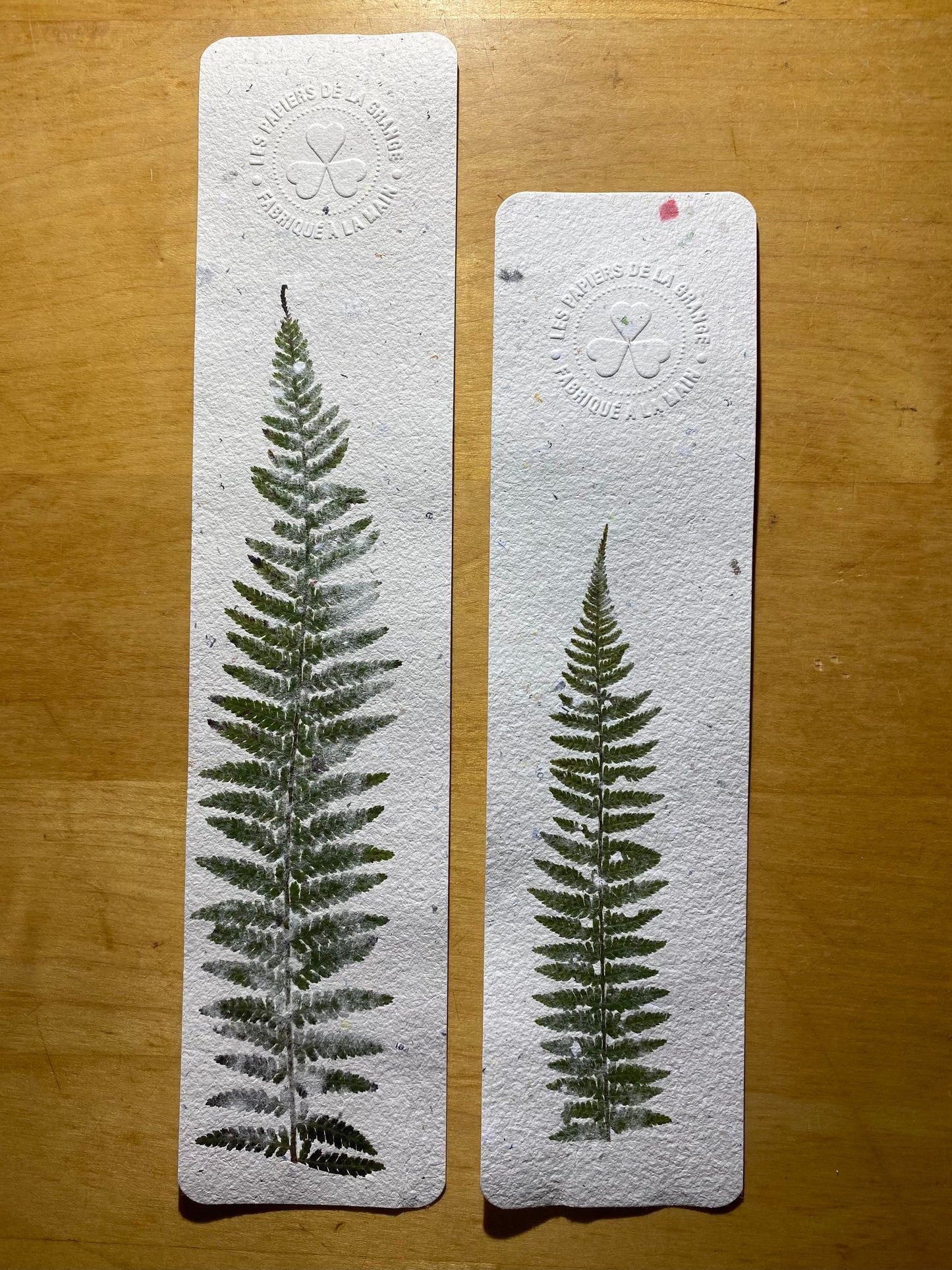 Marque-page géant (Fougère)