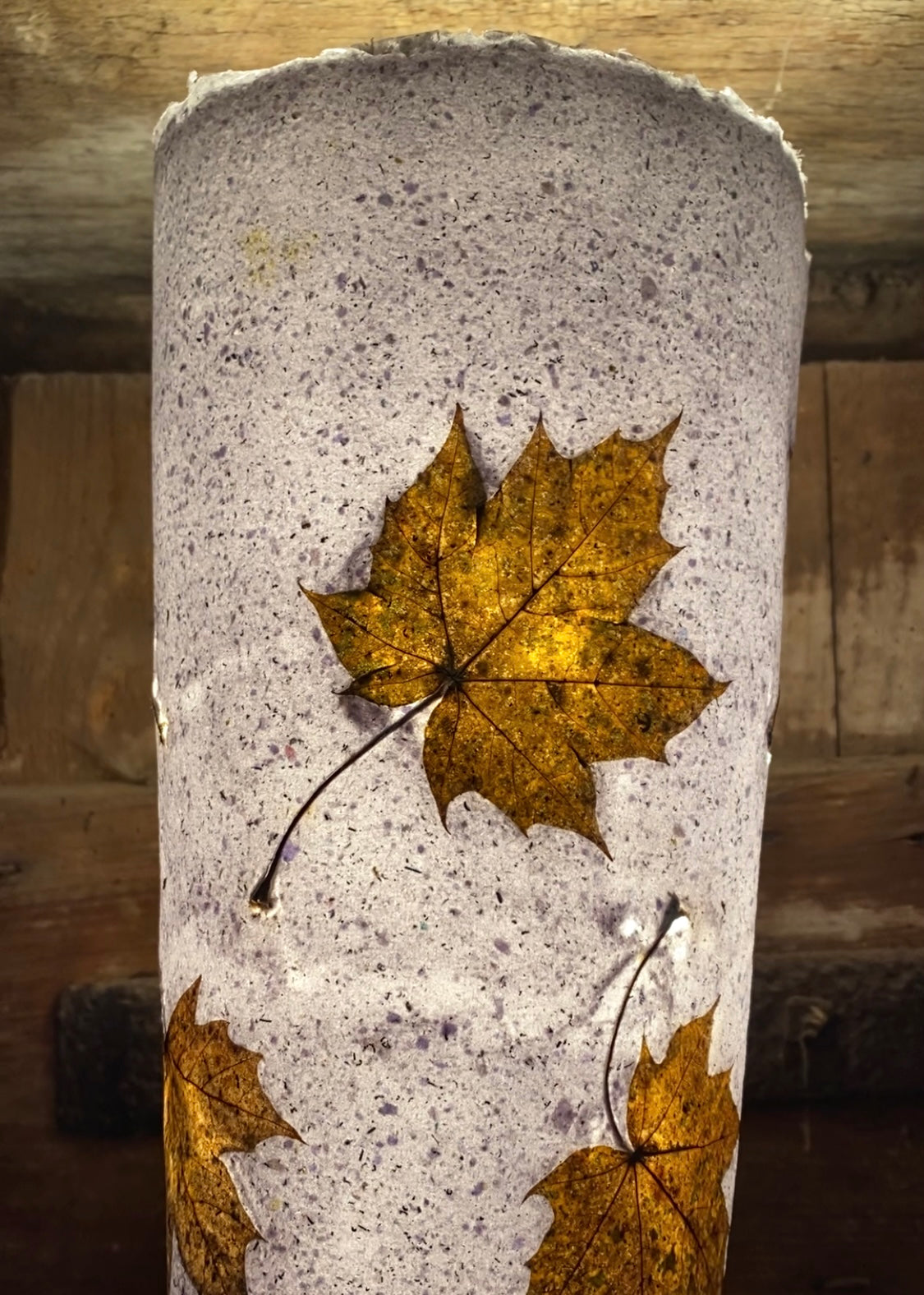 Chute de Feuilles (érable plane)