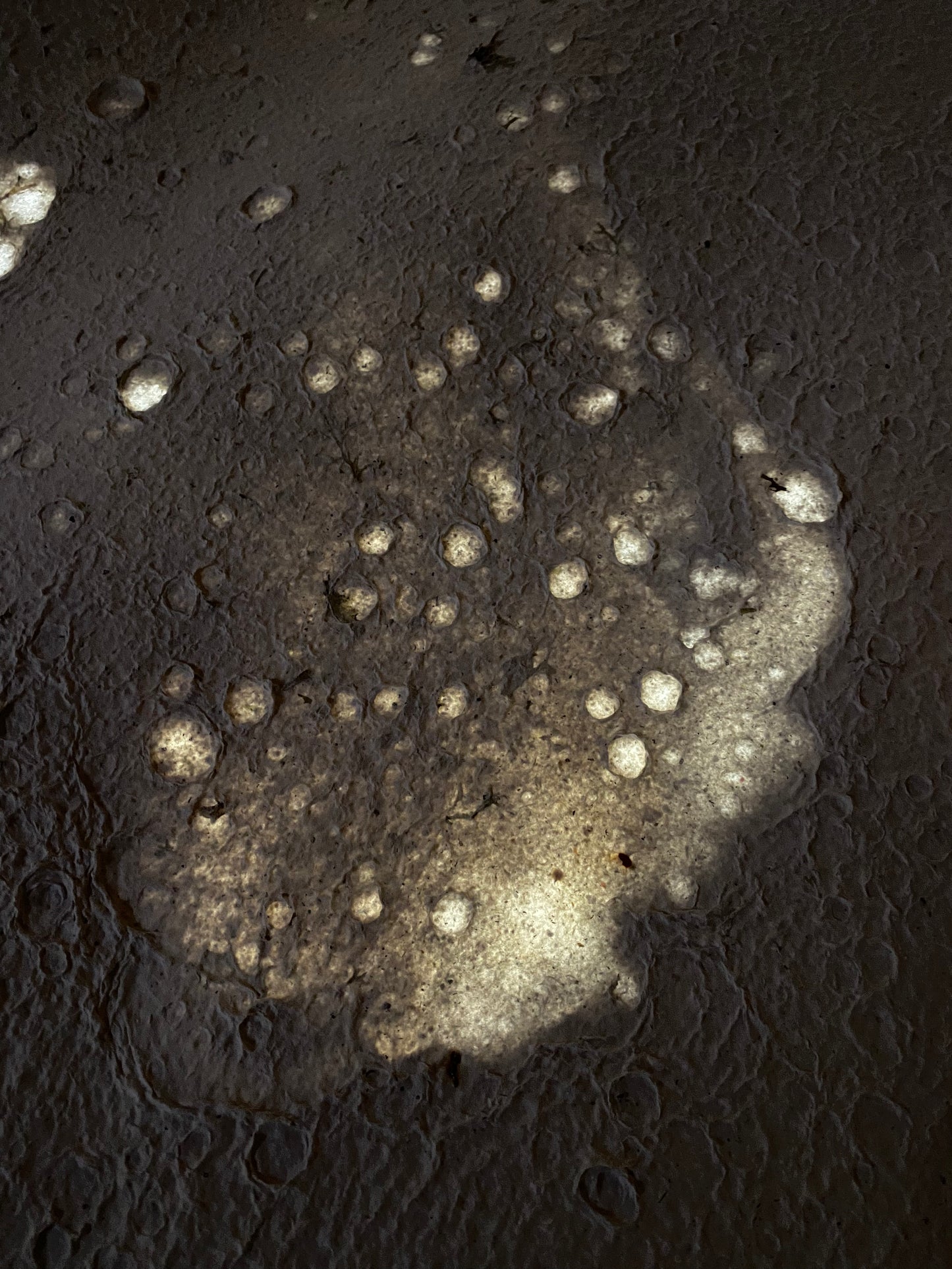 Objectif Lune