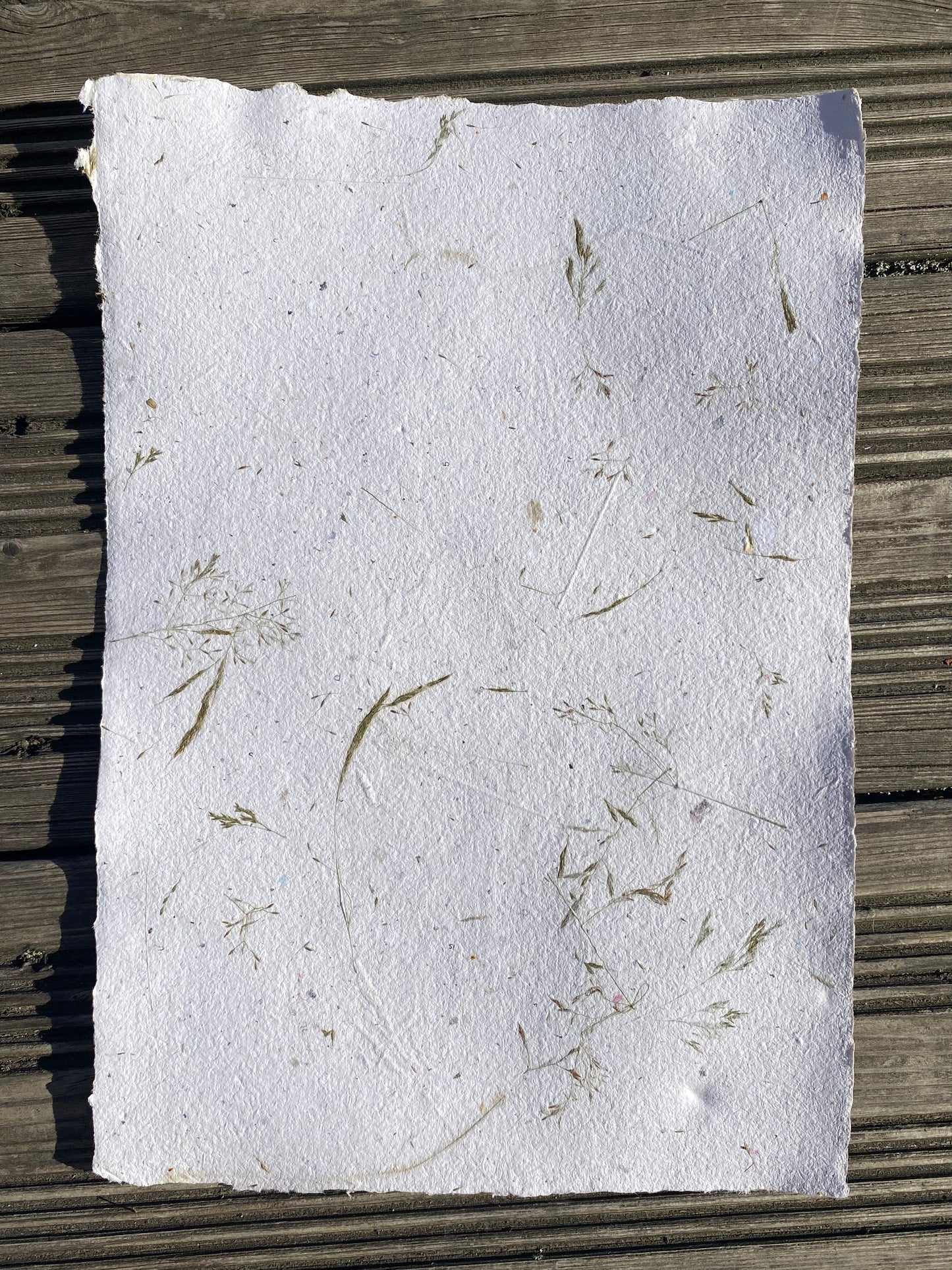Papier Graminées