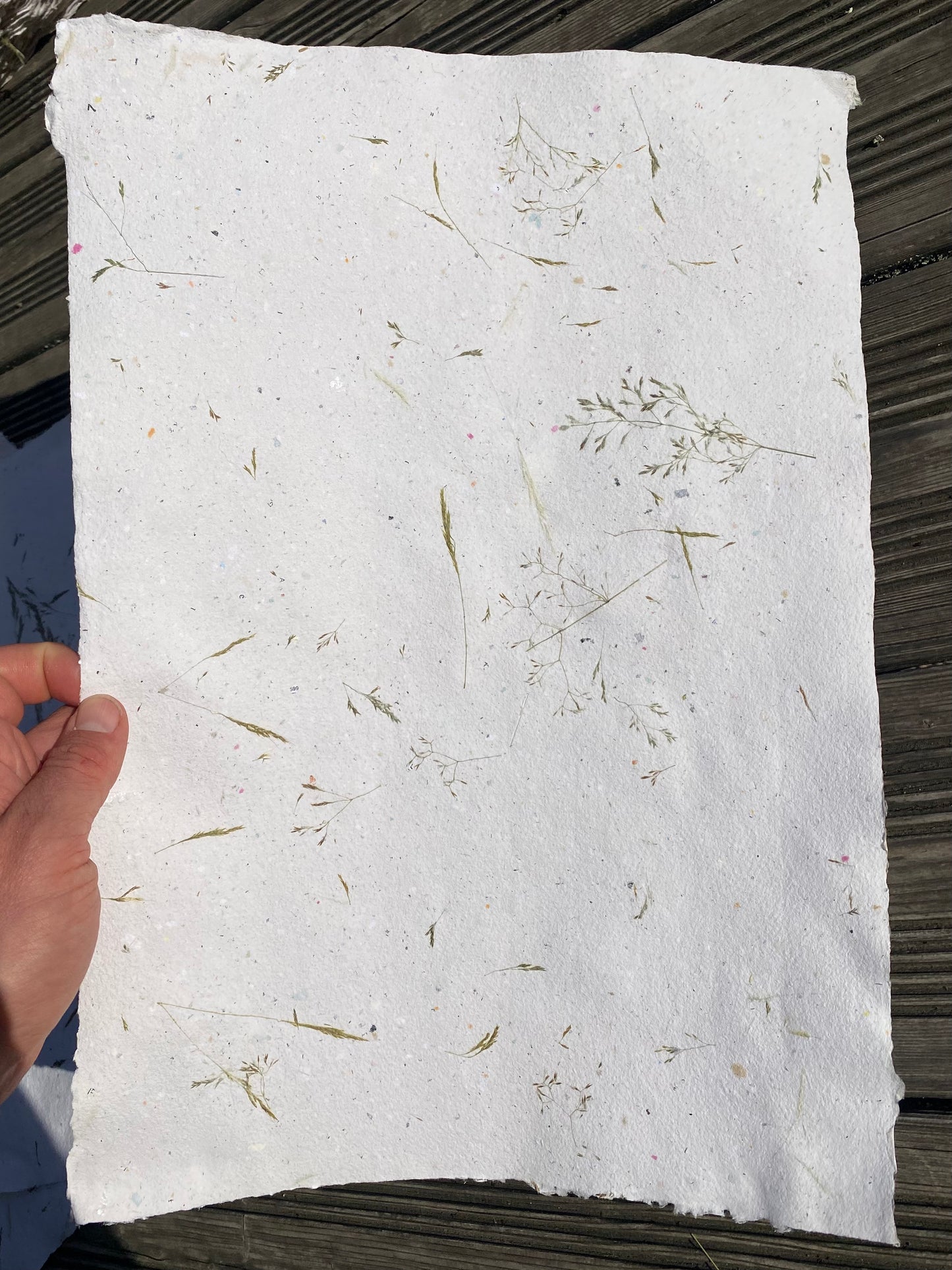 Papier Graminées
