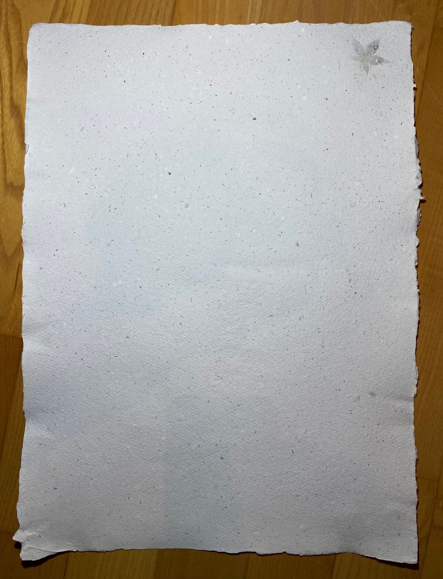 Feuille érable (série limitée)