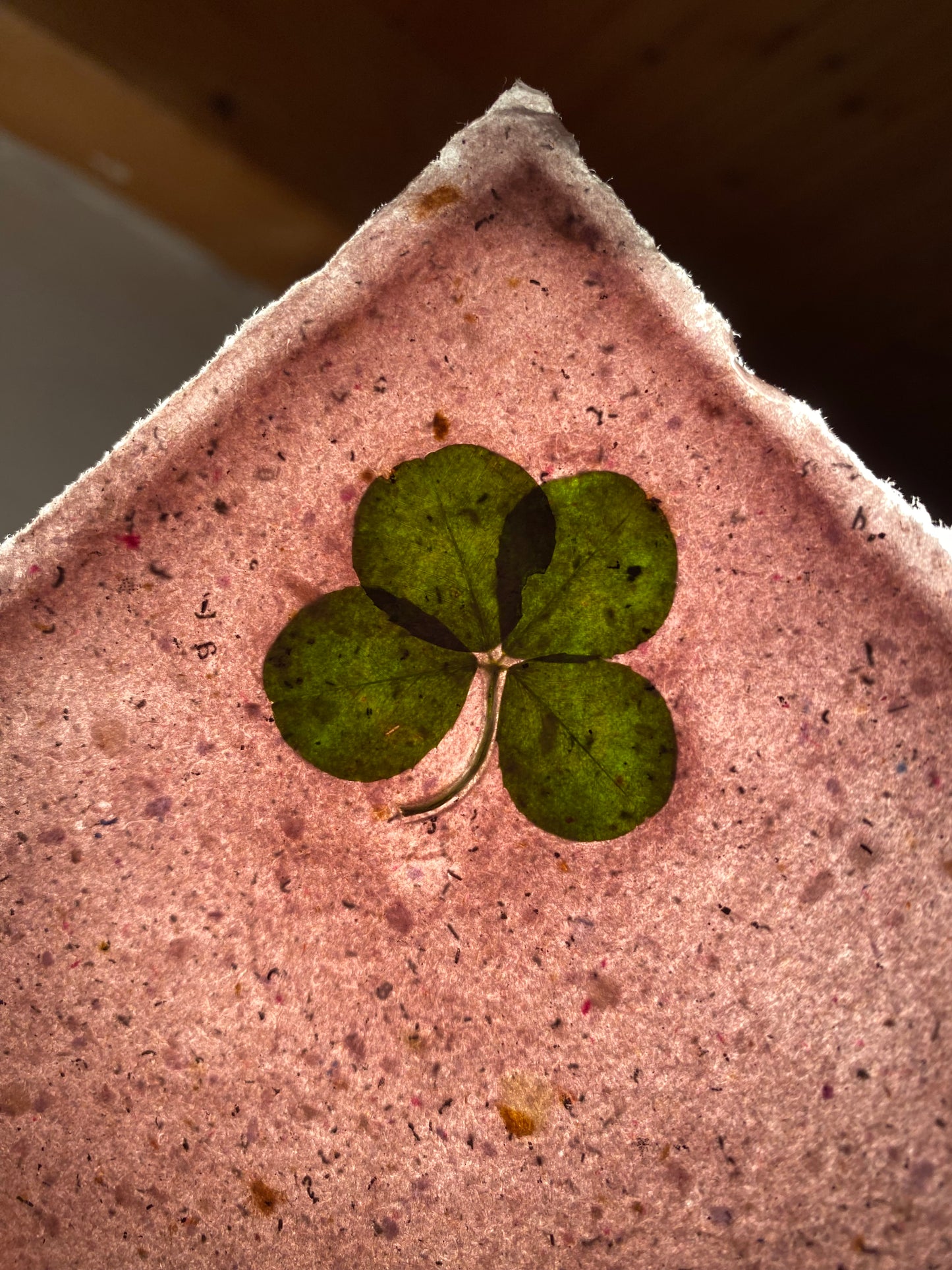 Trèfle à 4 feuilles (série limitée)