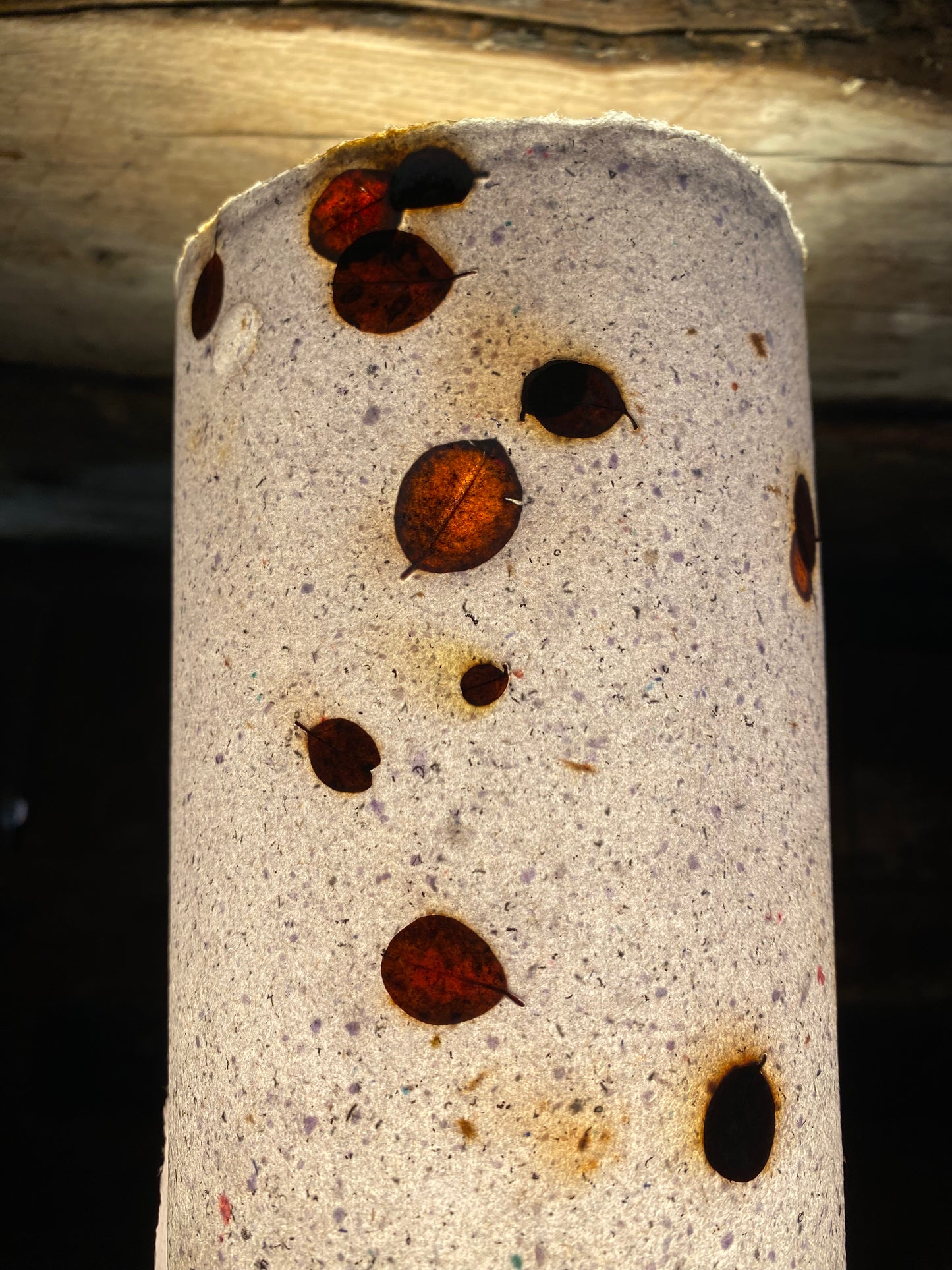 Papier Cotoneaster
