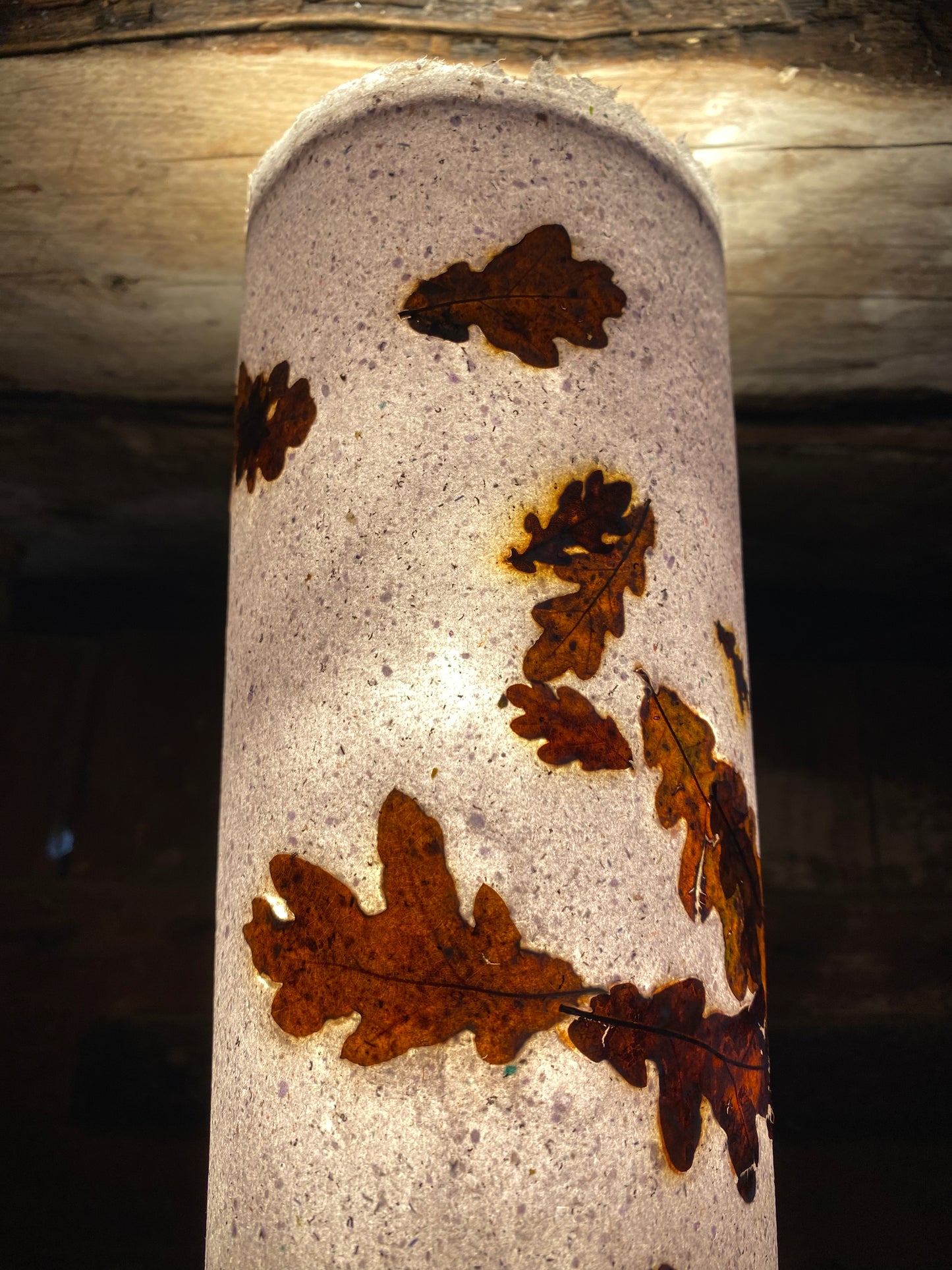 Chute de Feuilles (chêne)