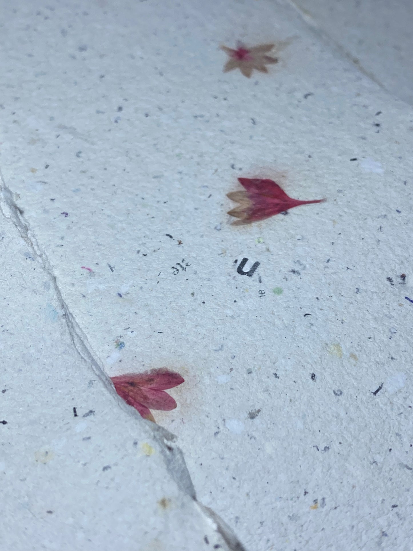 Papier Centaurée Rouge