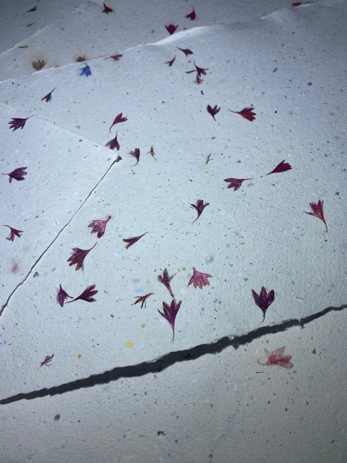 Papier Centaurée Rouge