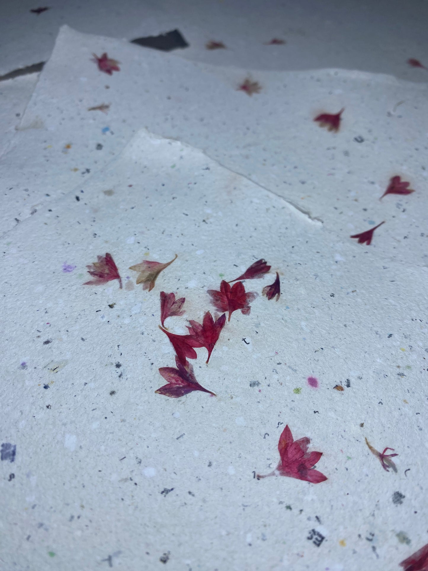 Papier Centaurée Rouge