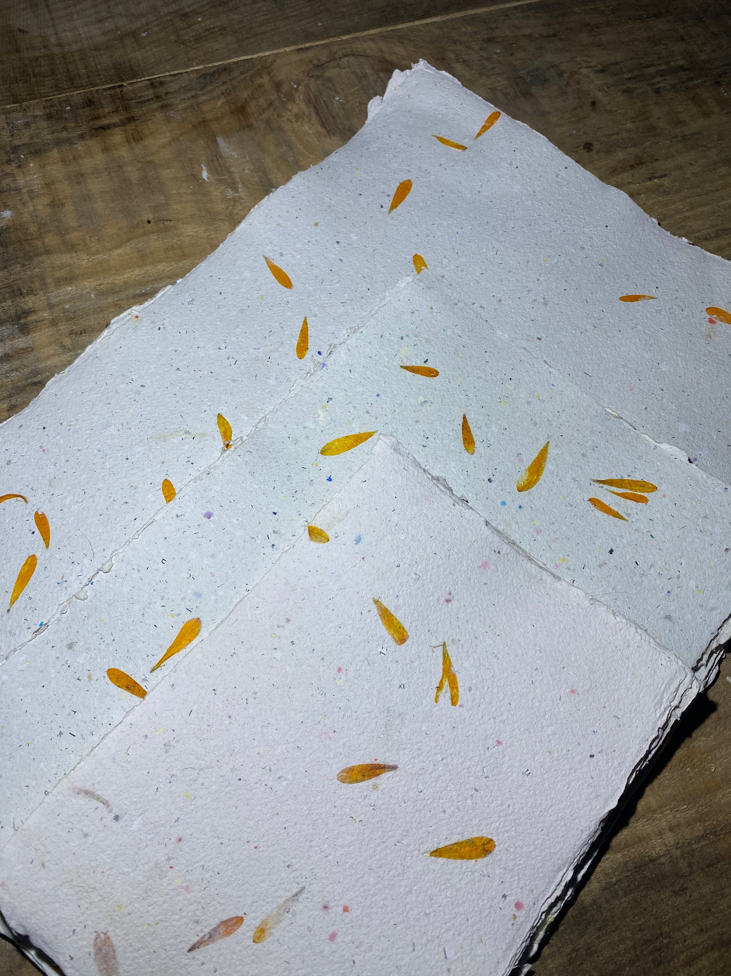 Papier Calendula