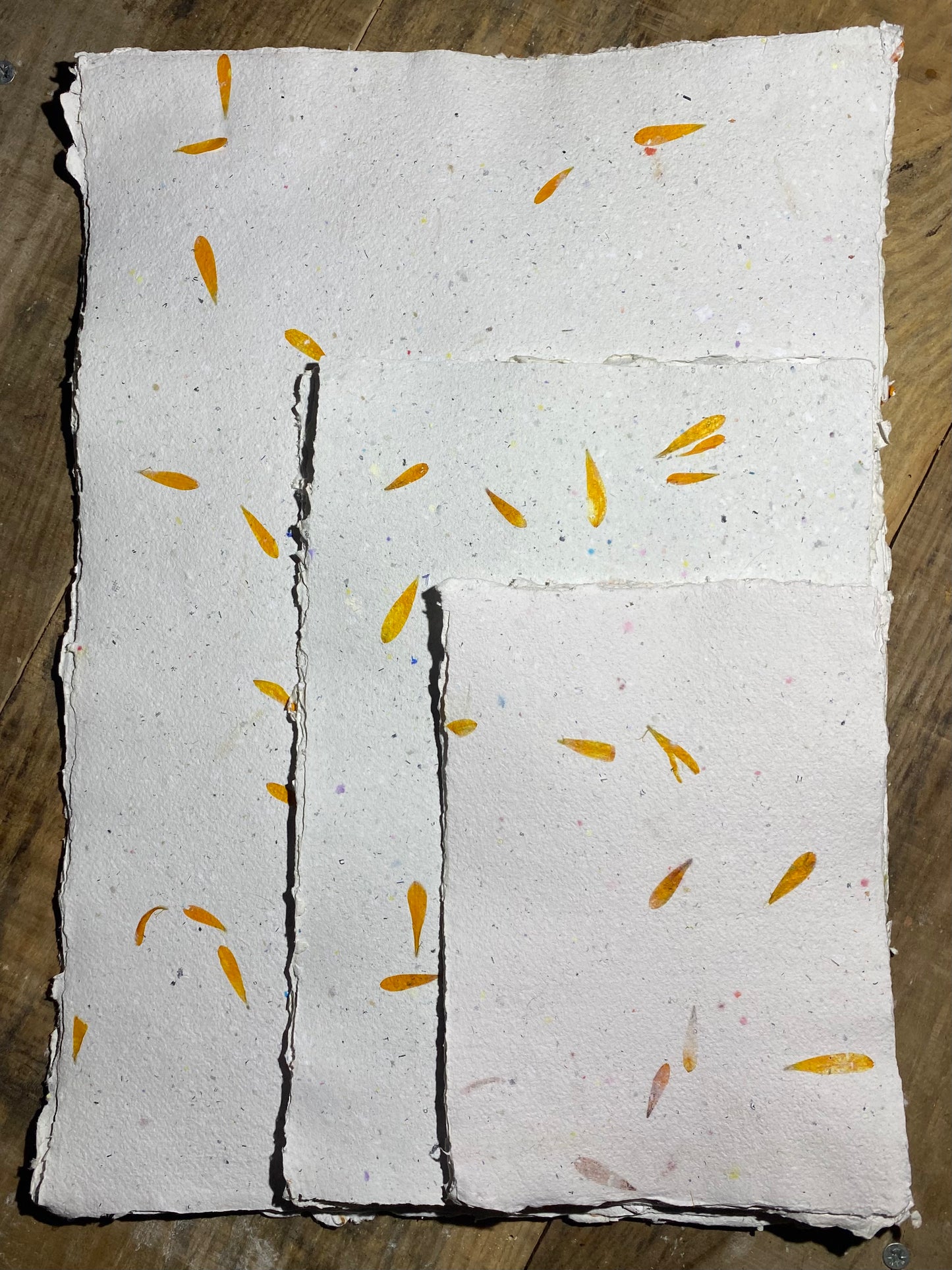 Papier Calendula