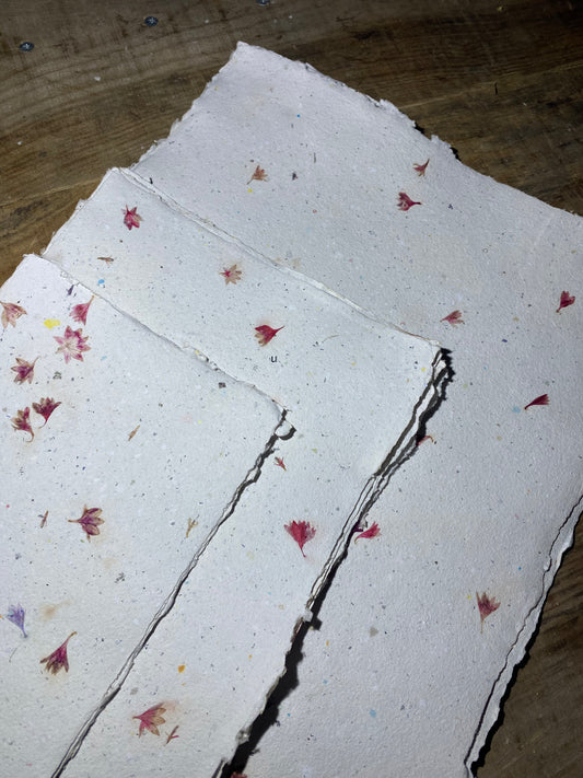 Papier Centaurée Rouge