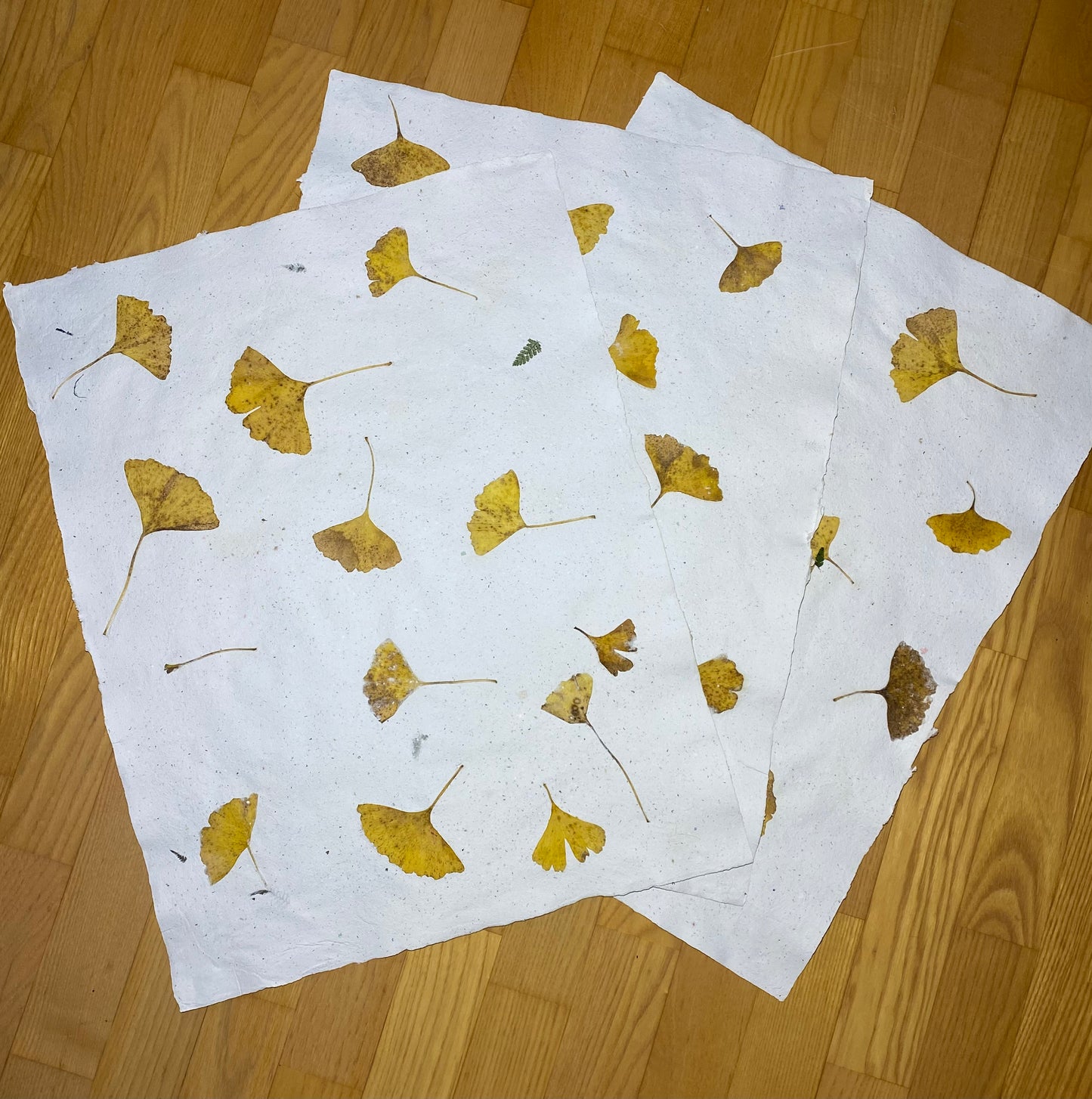 Création "Chute de Feuilles" (format raisin)