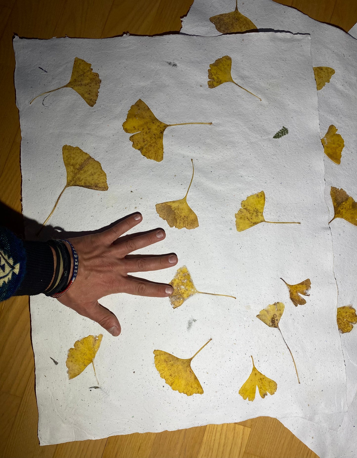 Création "Chute de Feuilles" (format raisin)