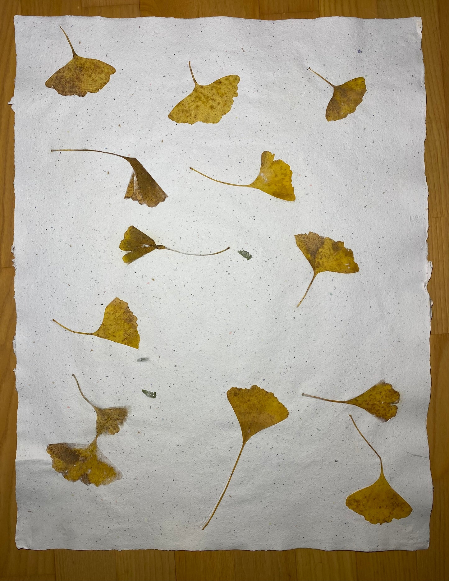 Création "Chute de Feuilles" (format raisin)