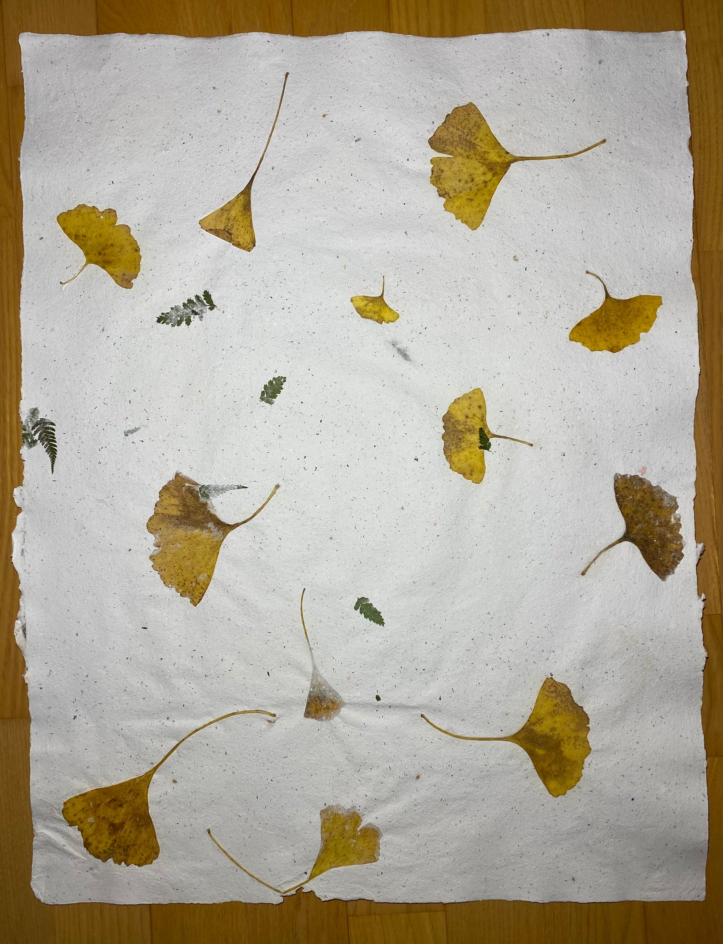 Création "Chute de Feuilles" (format raisin)