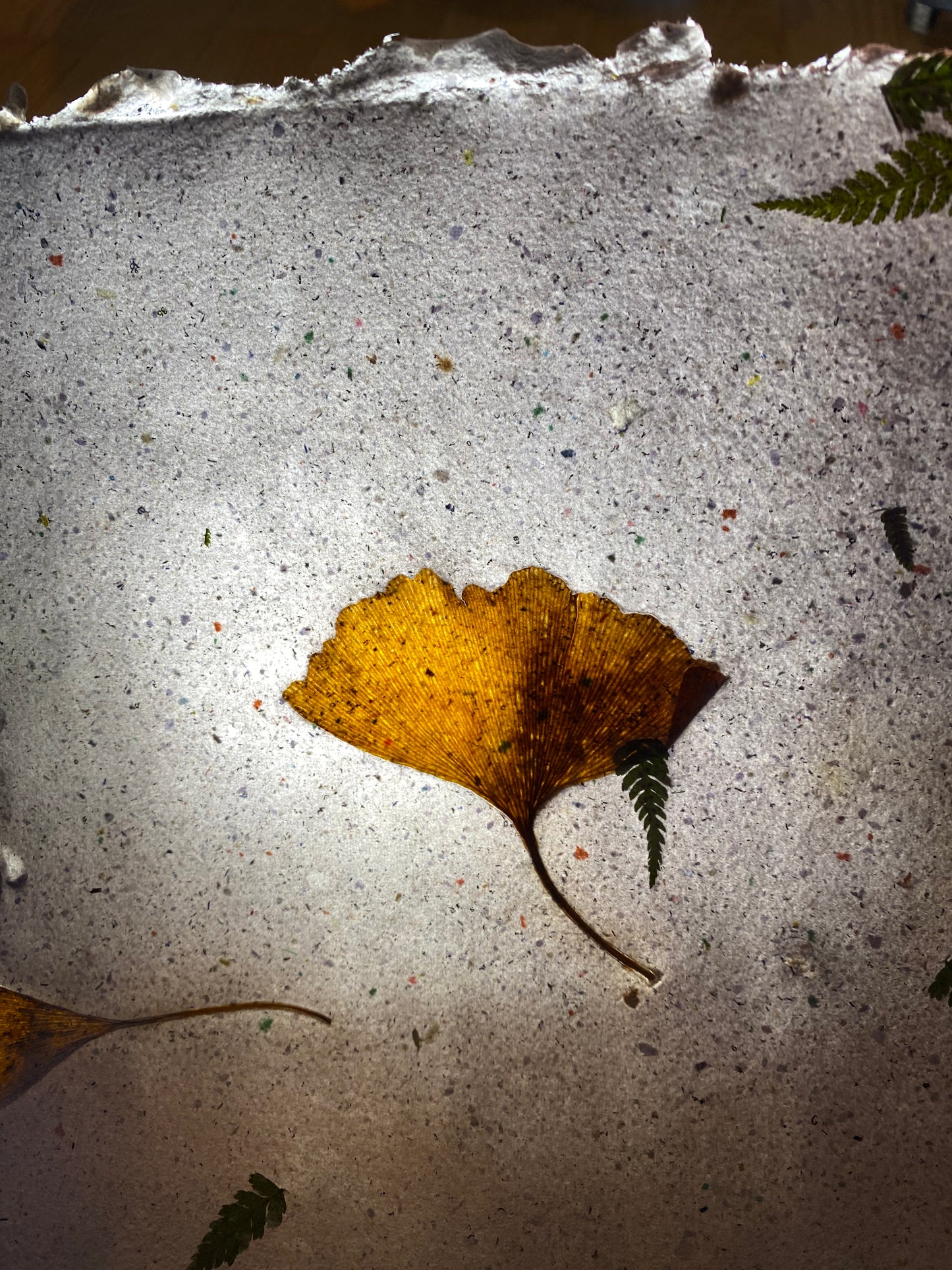 Création "Chute de Feuilles" (format raisin)