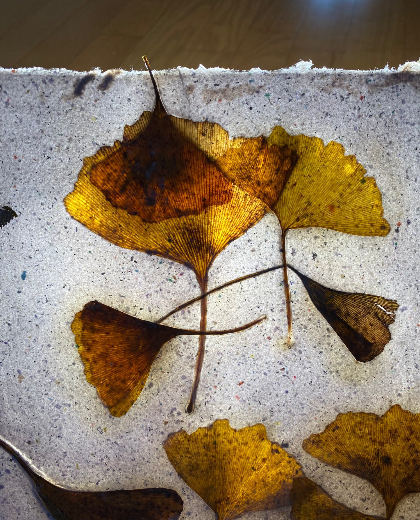 Création "Chute de Feuilles" (format raisin)