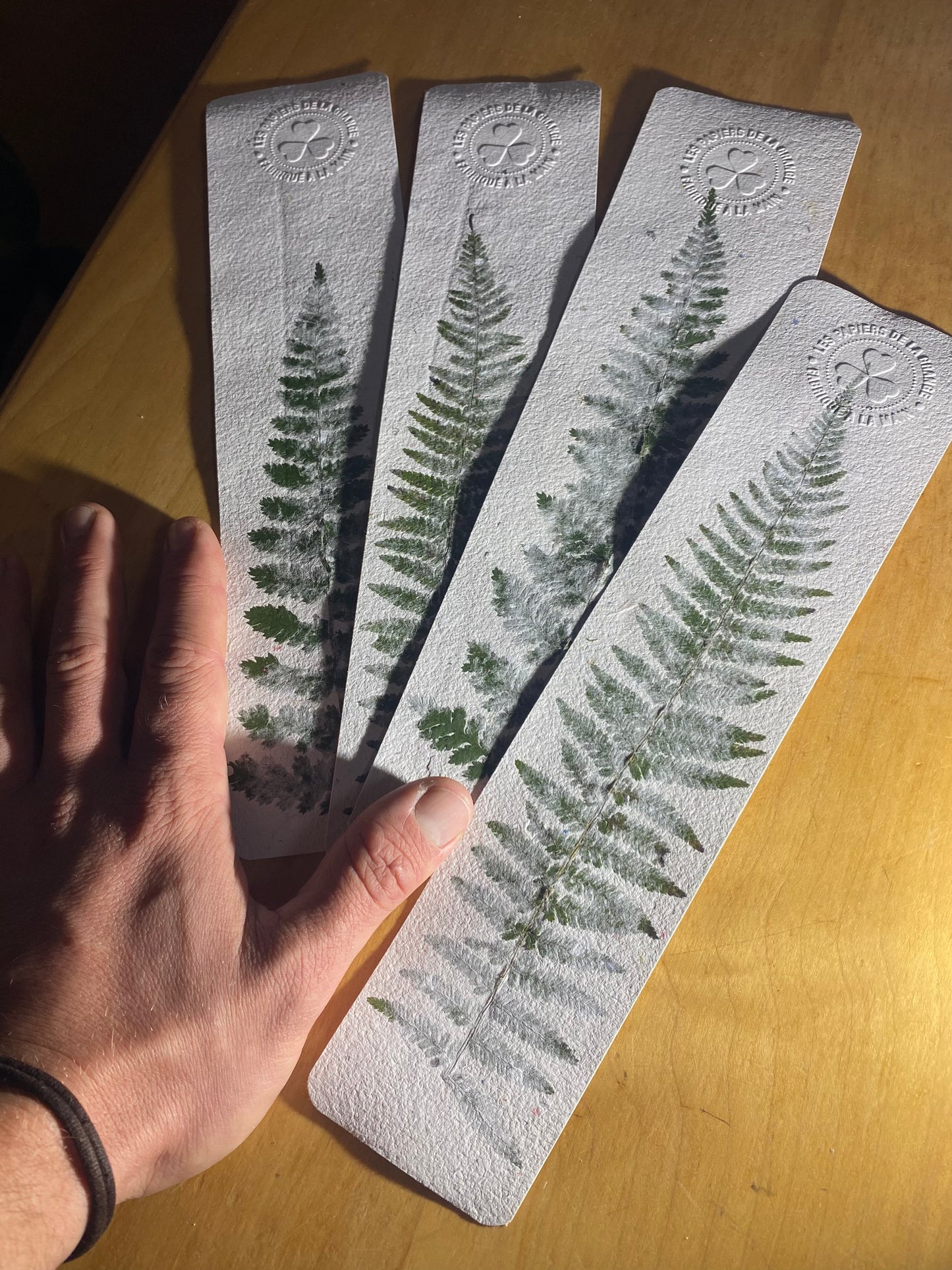 Marque-page géant (Fougère)