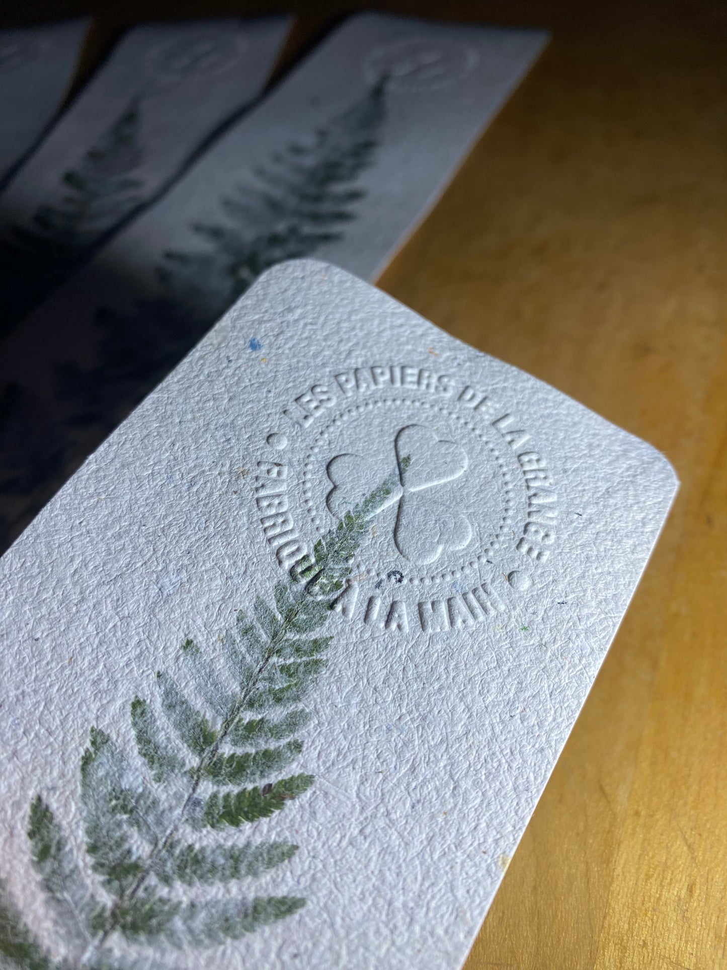 Marque-page géant (Fougère)