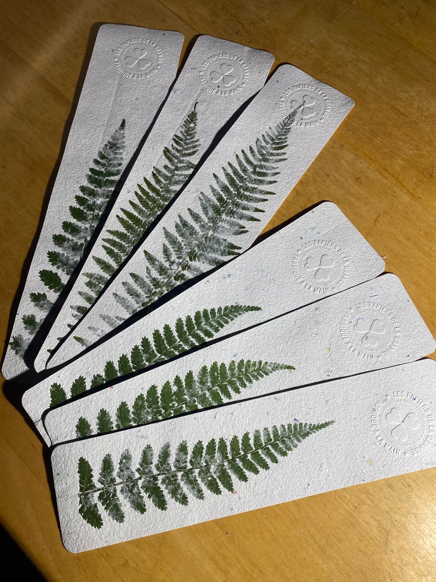 Marque-page géant (Fougère)