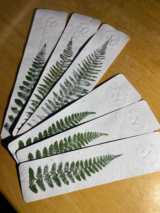 Marque-page géant (Fougère)