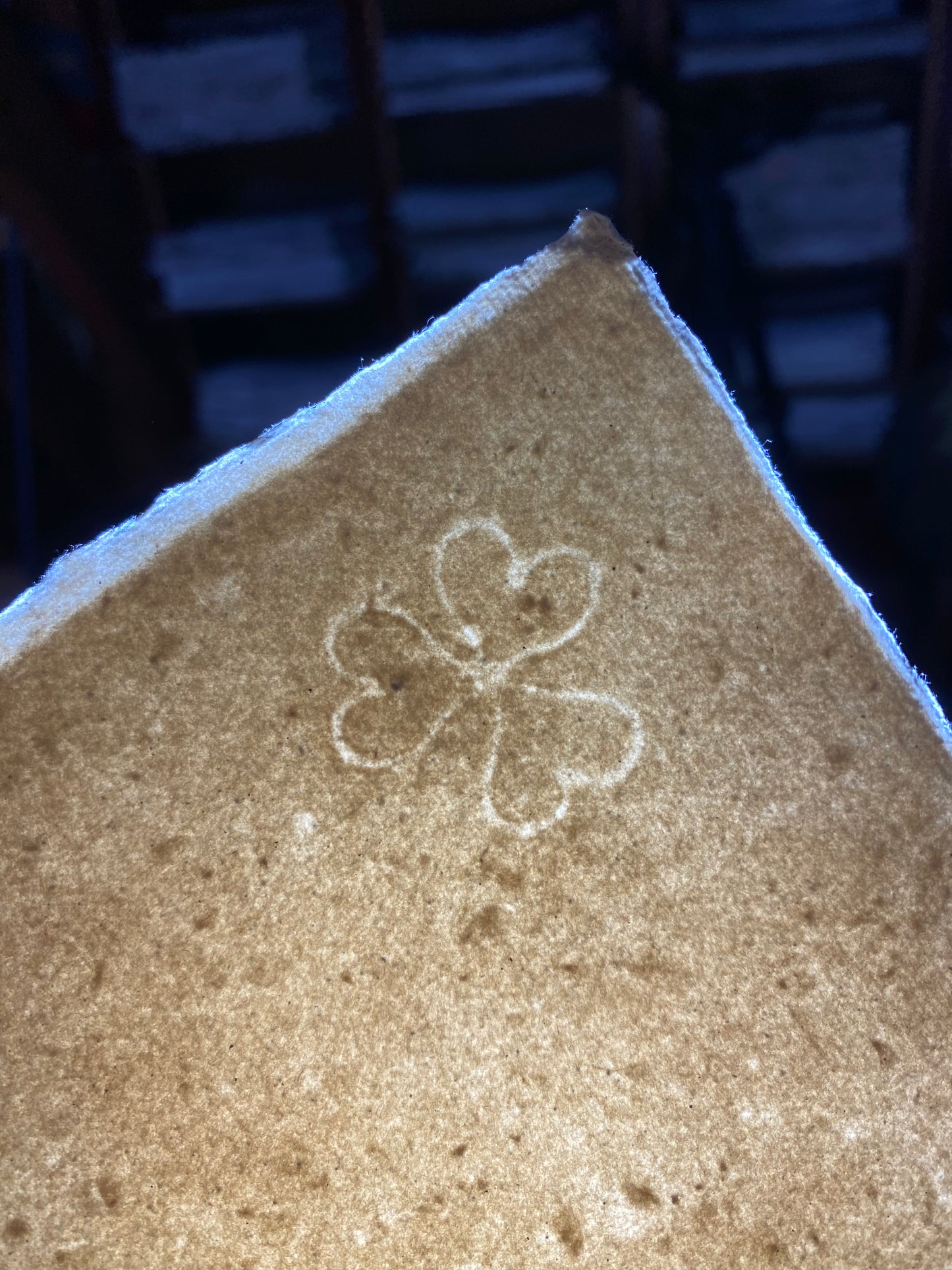 Papier pur chiffon "Coton écru" avec embossage (200-300 g/m²)