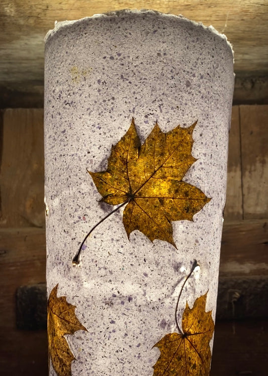 Chute de Feuilles (érable plane)