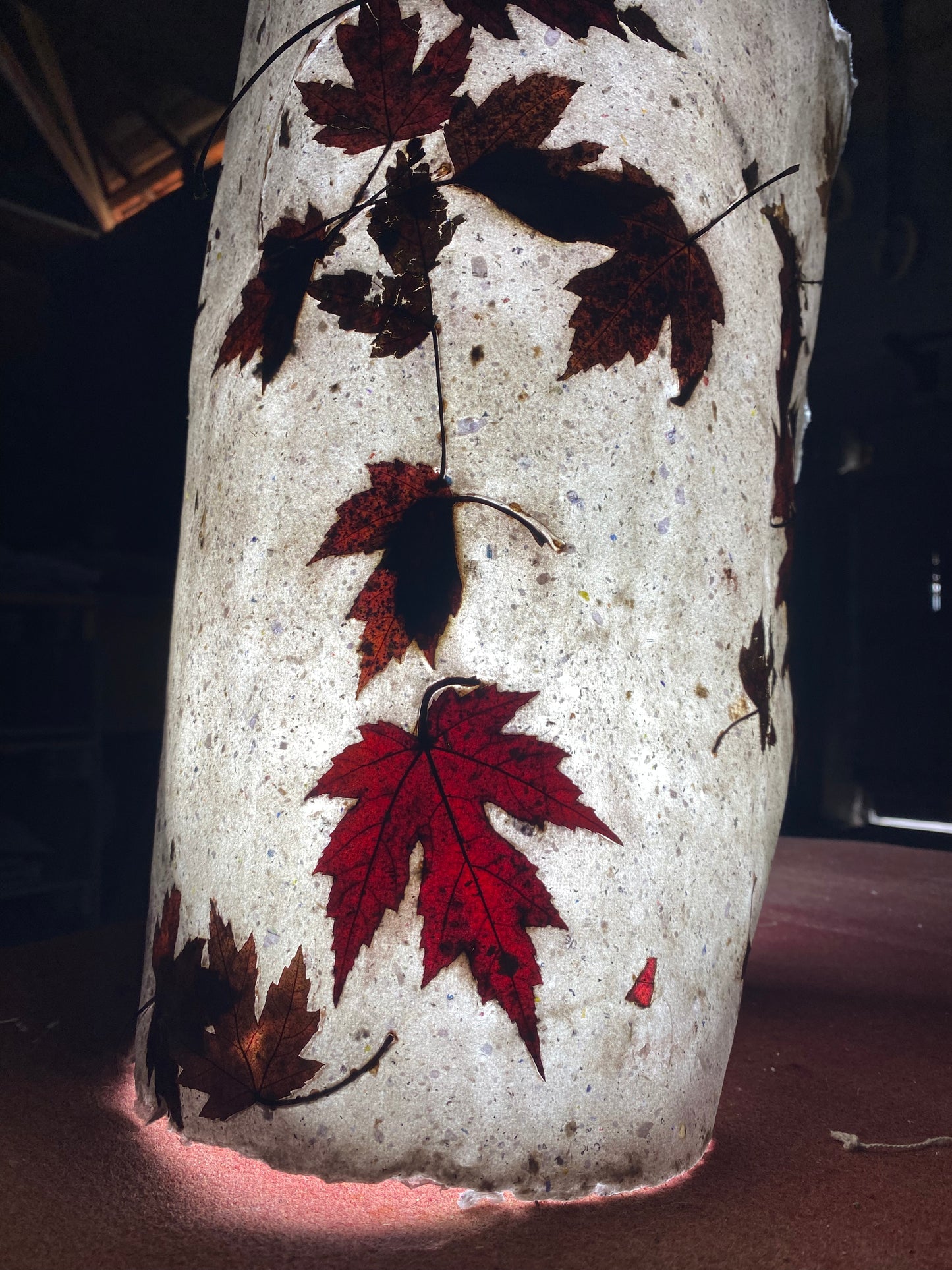 Chute de Feuilles (érable rouge)