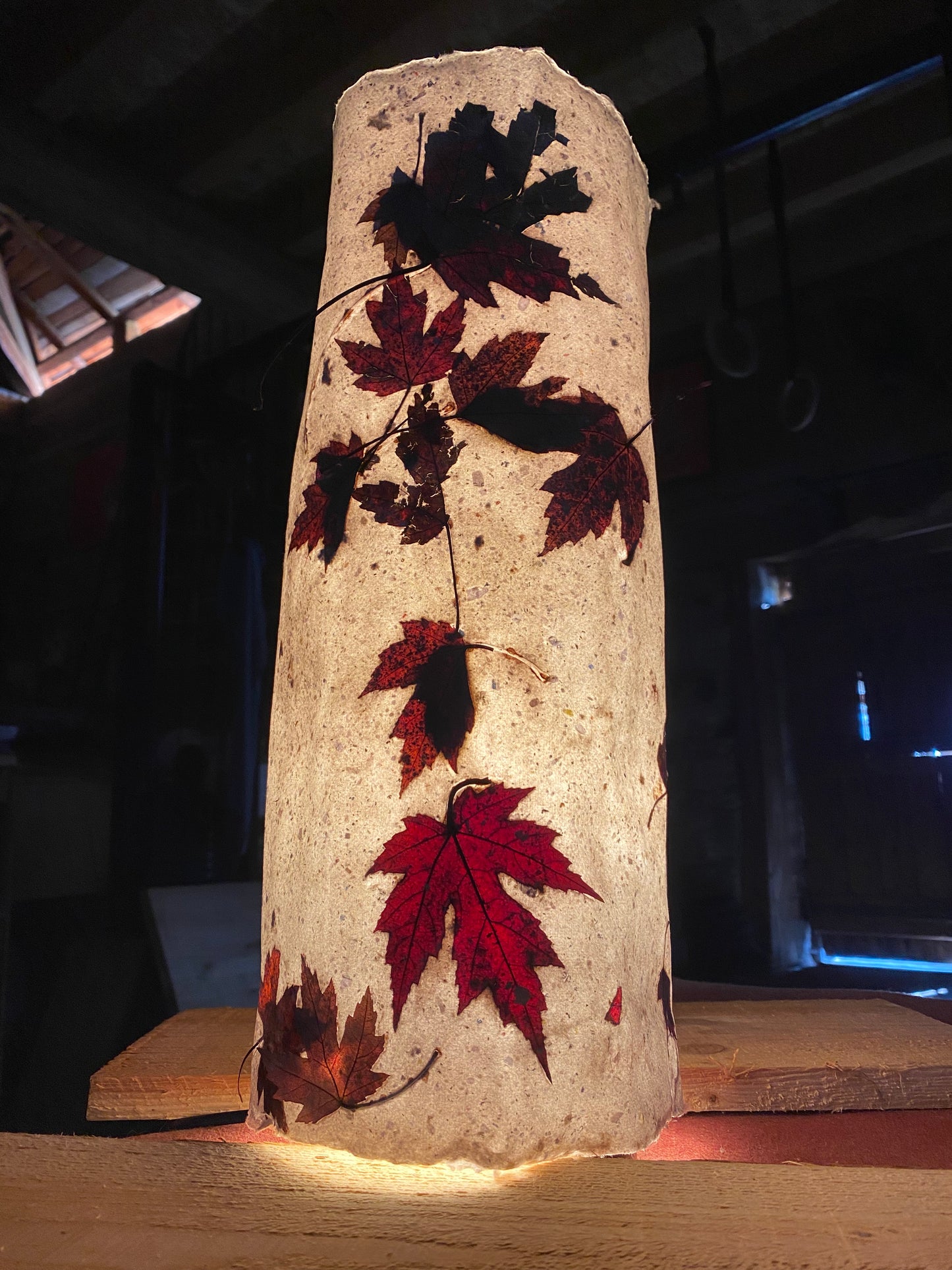 Chute de Feuilles (érable rouge)