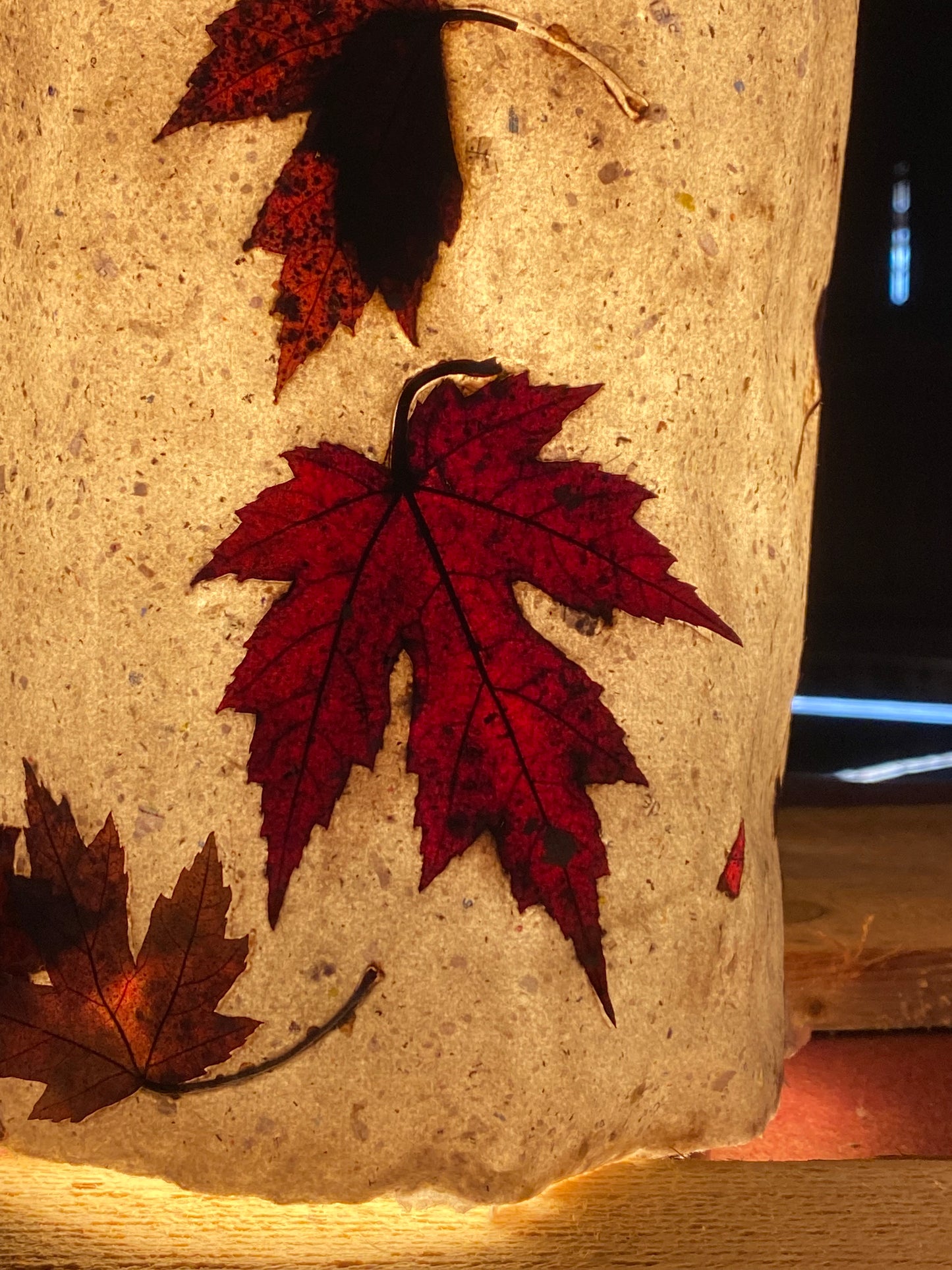 Chute de Feuilles (érable rouge)