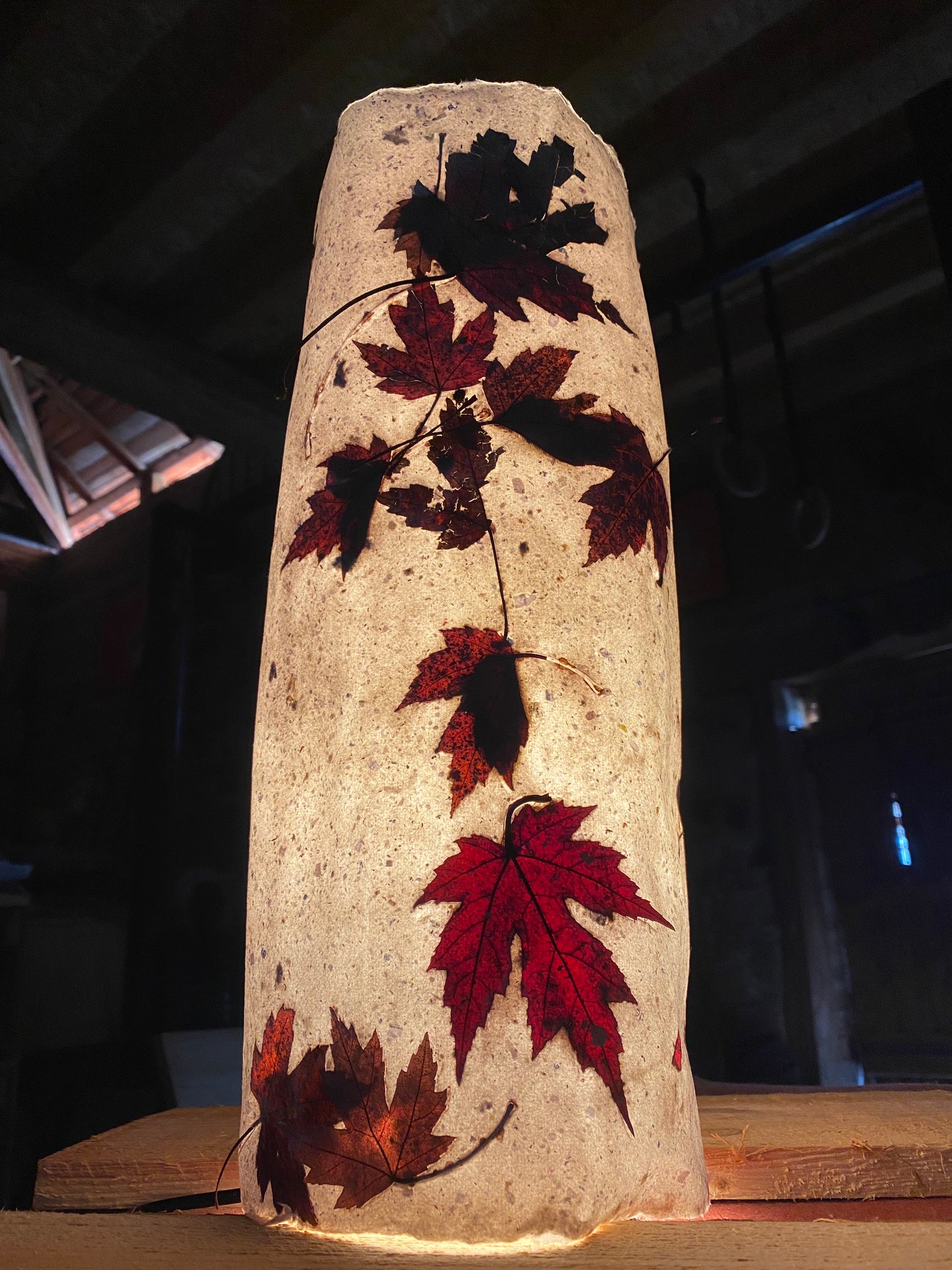 Chute de Feuilles (érable rouge)