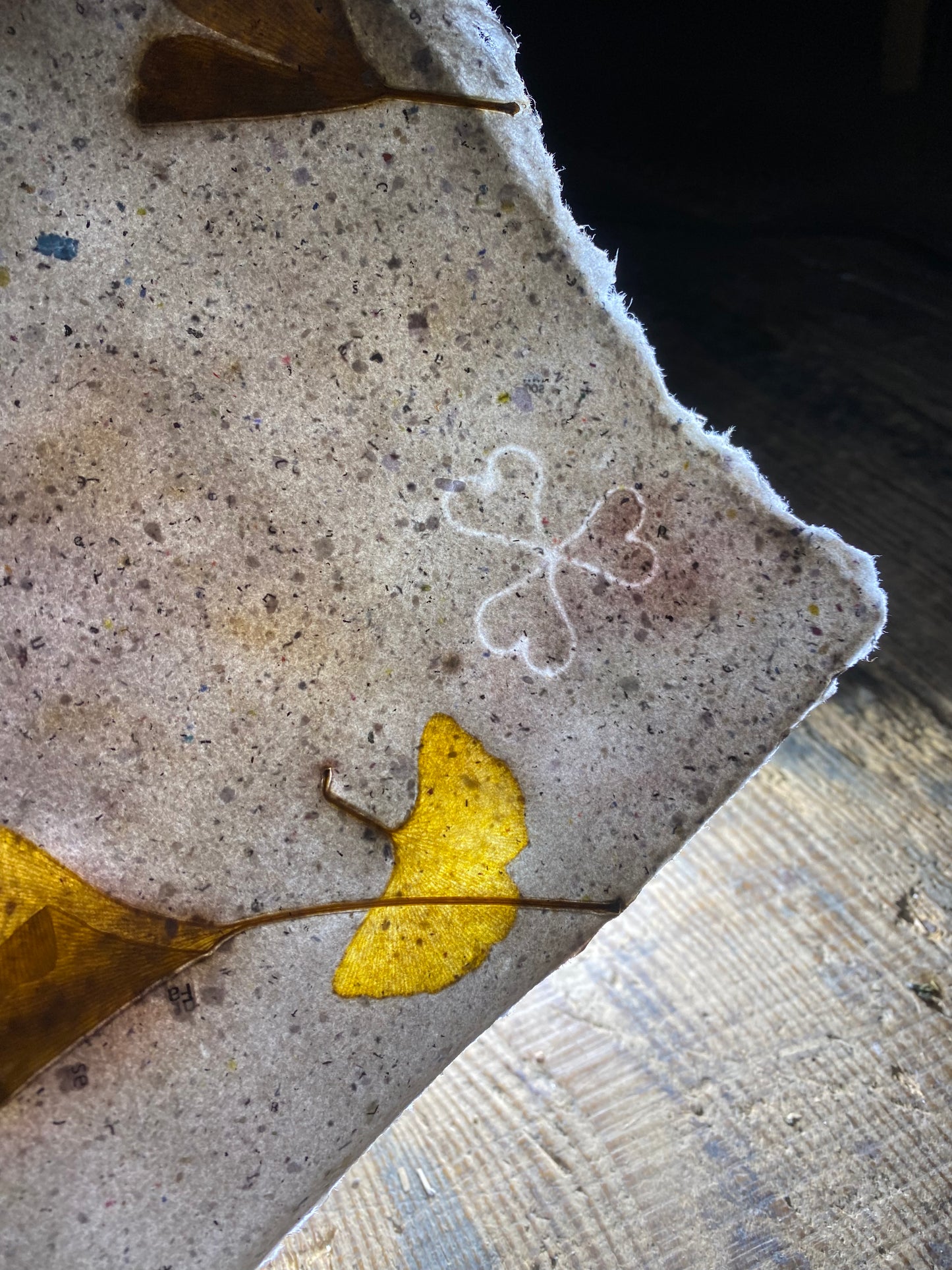 Chute de Feuilles (gingko biloba)