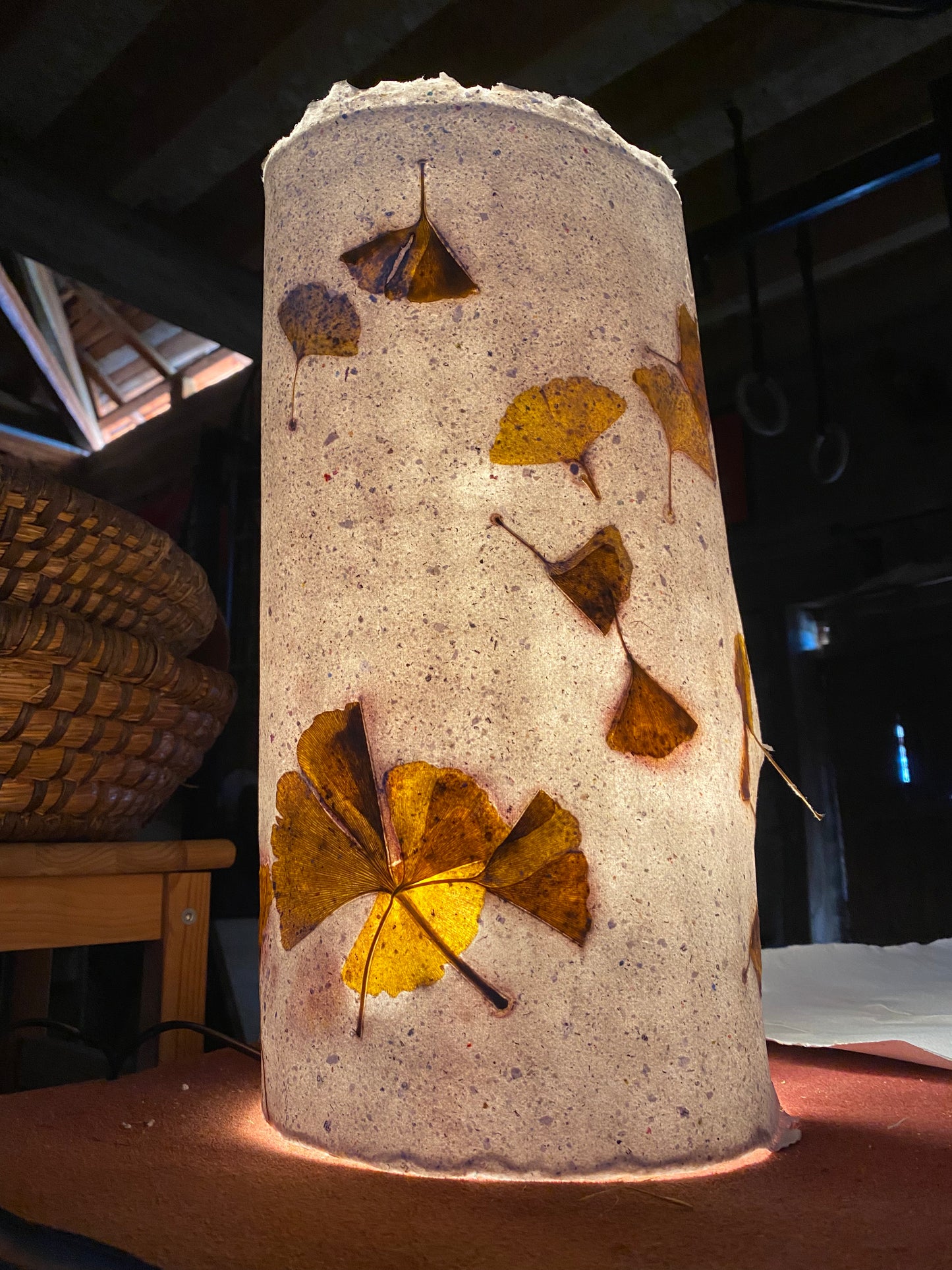 Chute de Feuilles (gingko biloba)