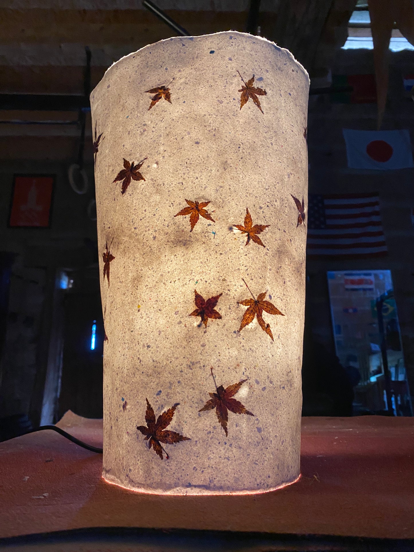 Chute de Feuilles (érable palmé du Japon)