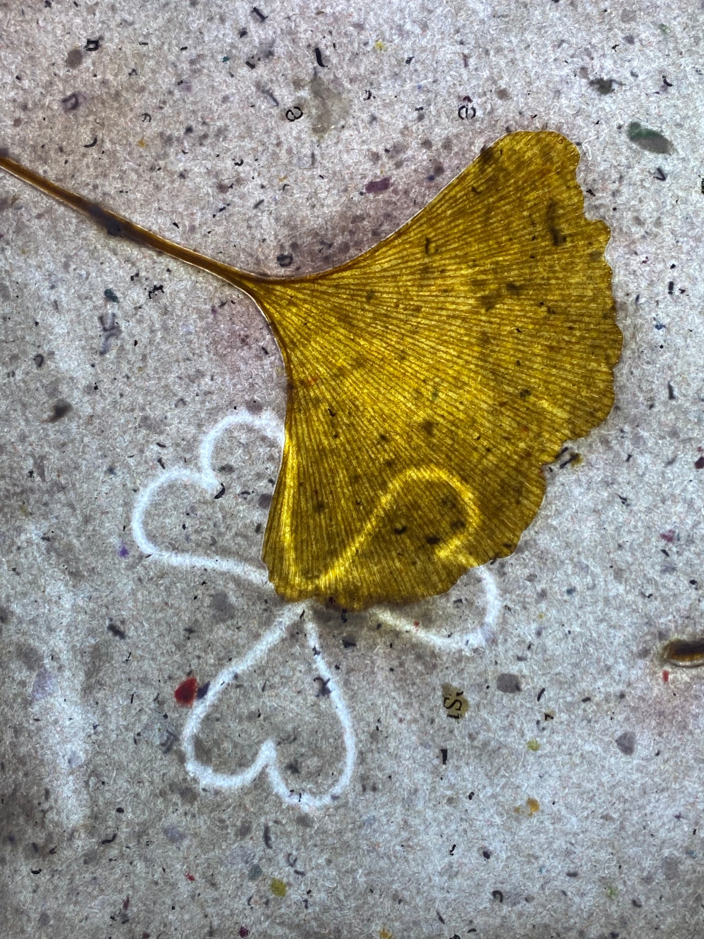 Chute de Feuilles (gingko biloba)
