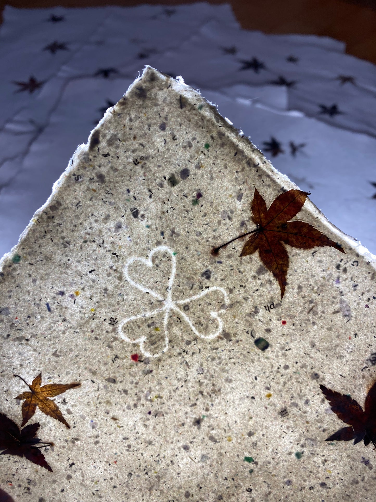 Chute de Feuilles (érable palmé du Japon)