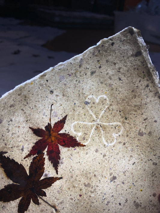 Chute de Feuilles (érable palmé du Japon)