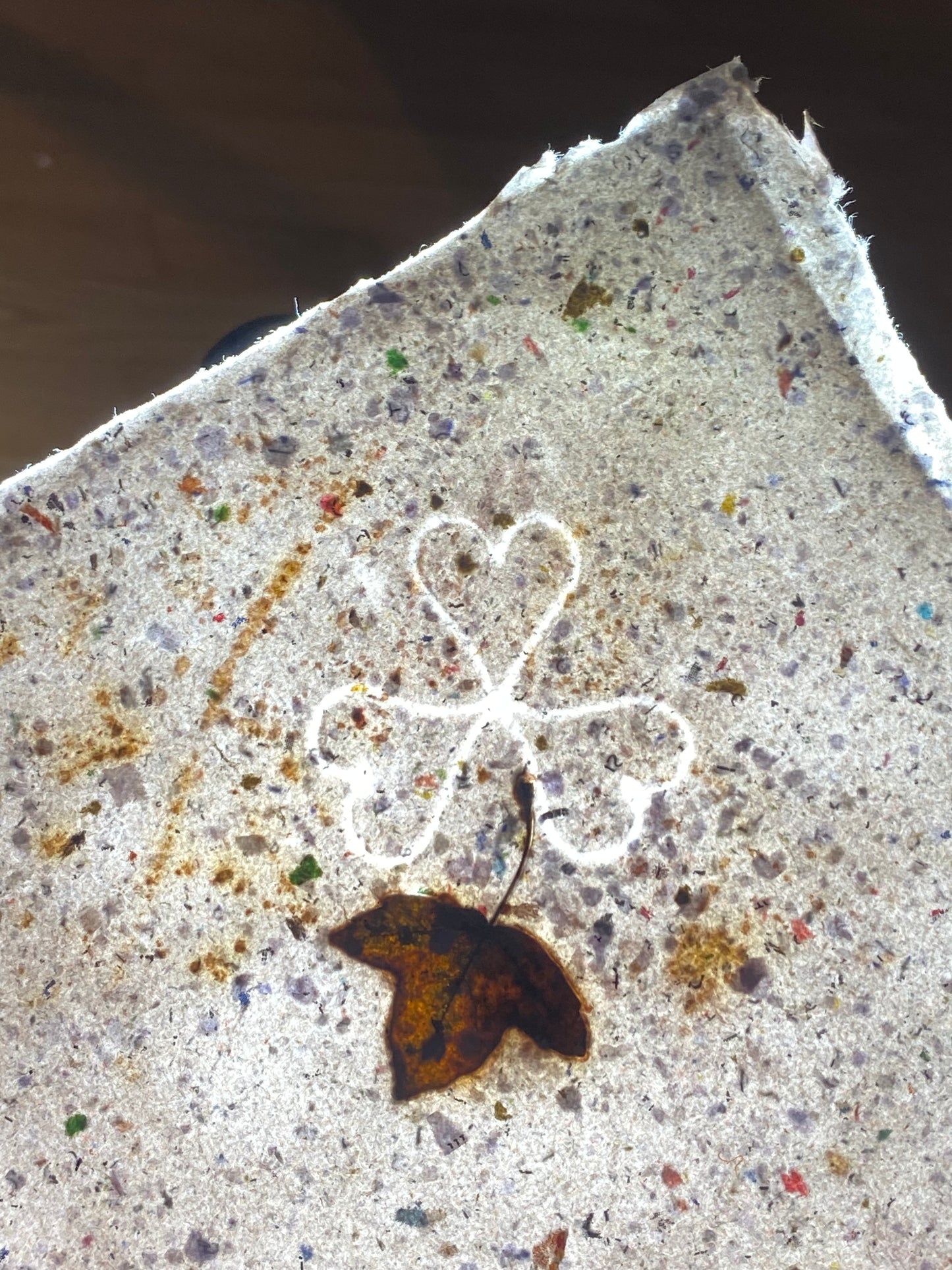 Chute de Feuilles (érable de Montpellier)