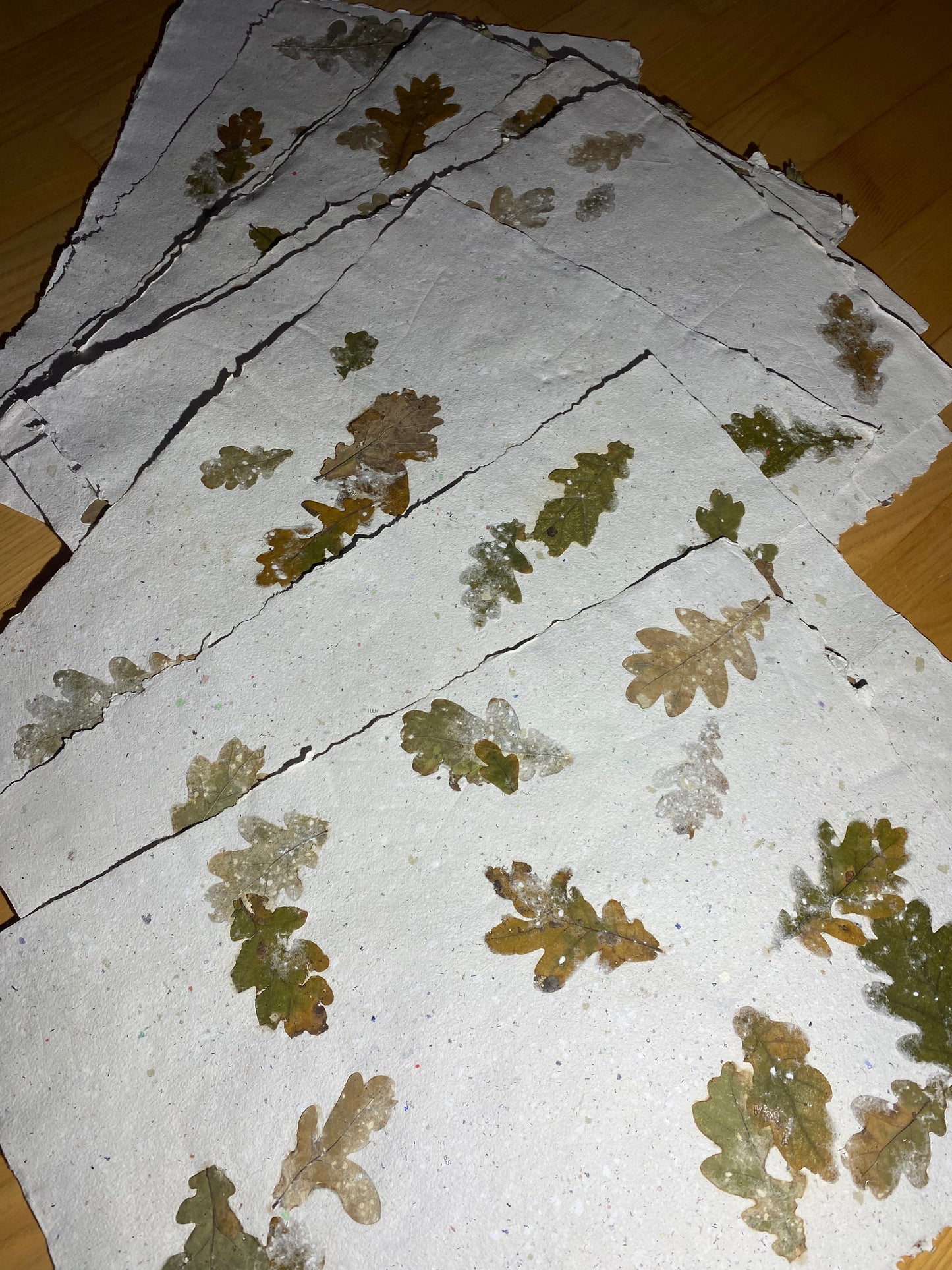 Chute de Feuilles (chêne)