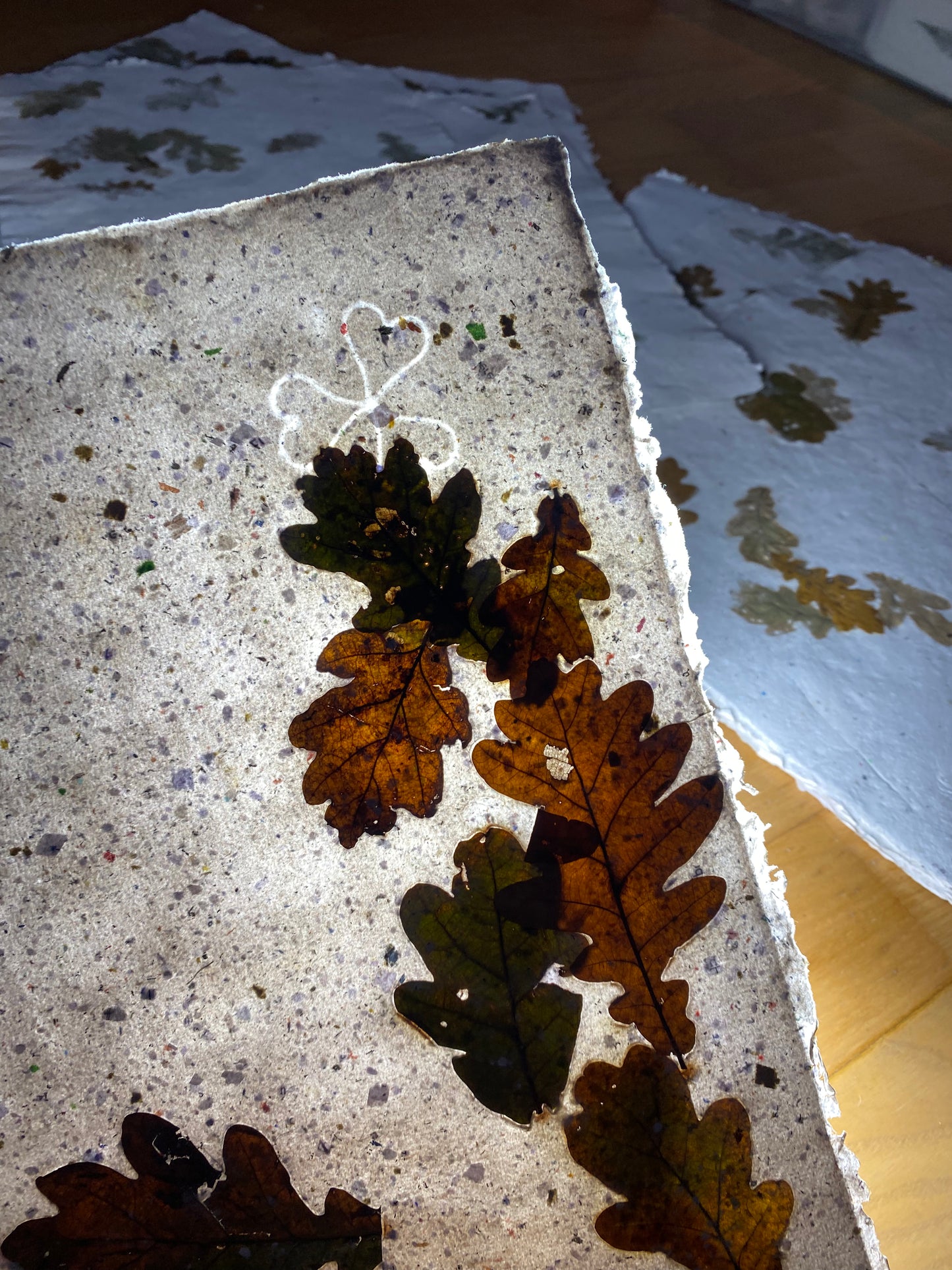 Chute de Feuilles (chêne)