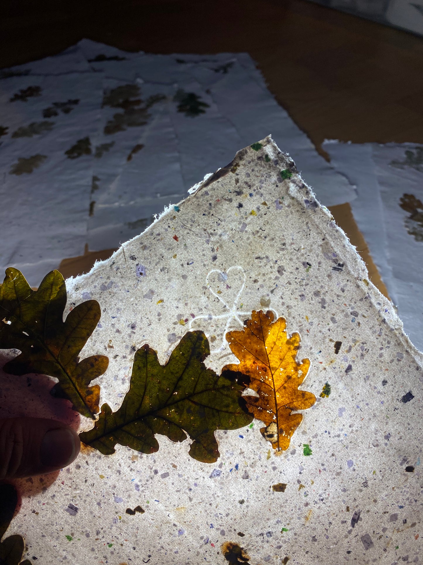 Chute de Feuilles (chêne)