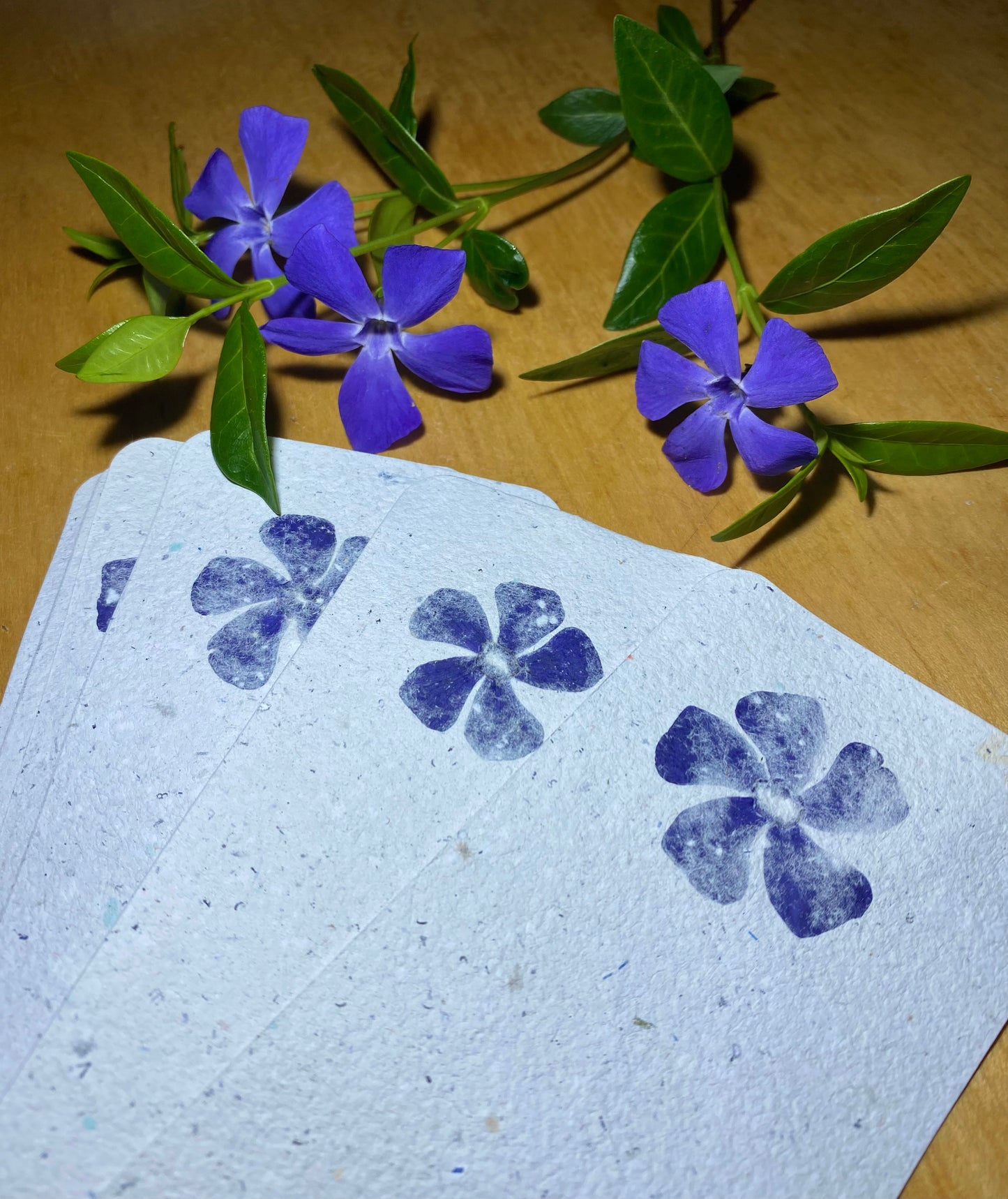Marque-page (Fleurs)