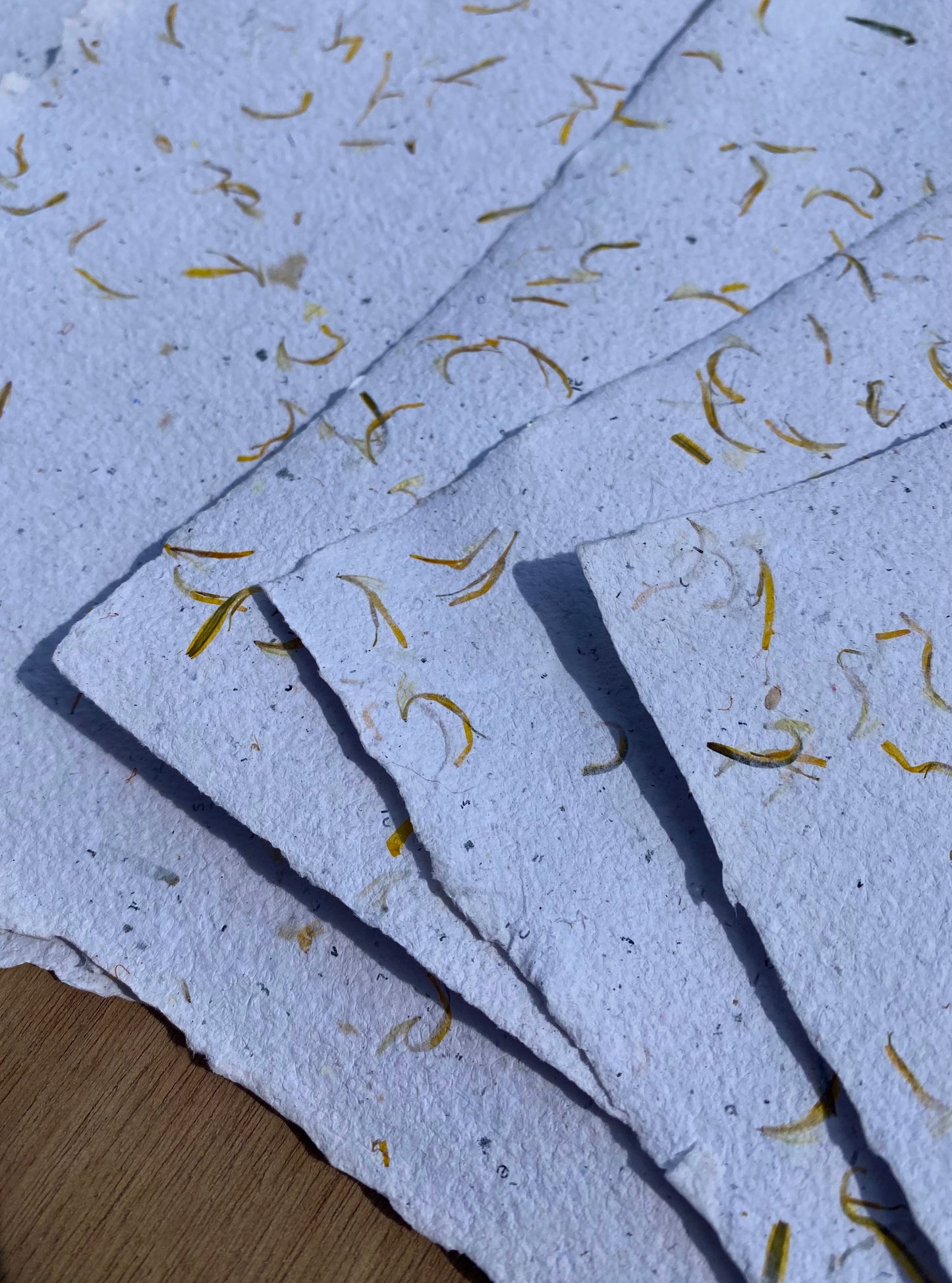 Papier Pissenlit