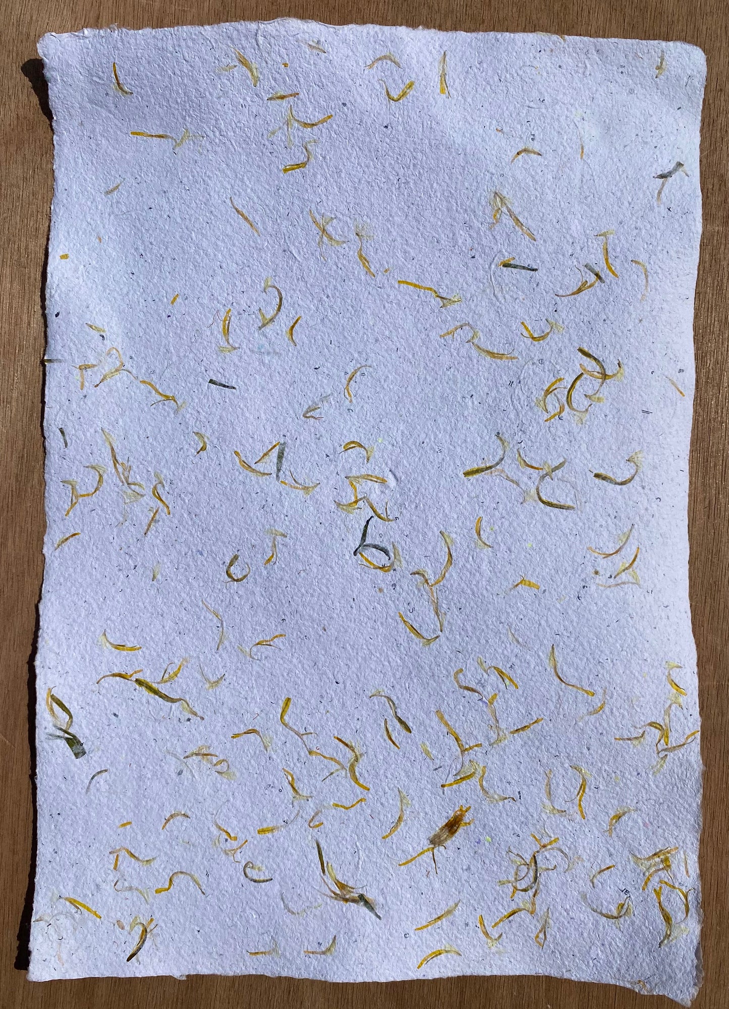 Papier Pissenlit
