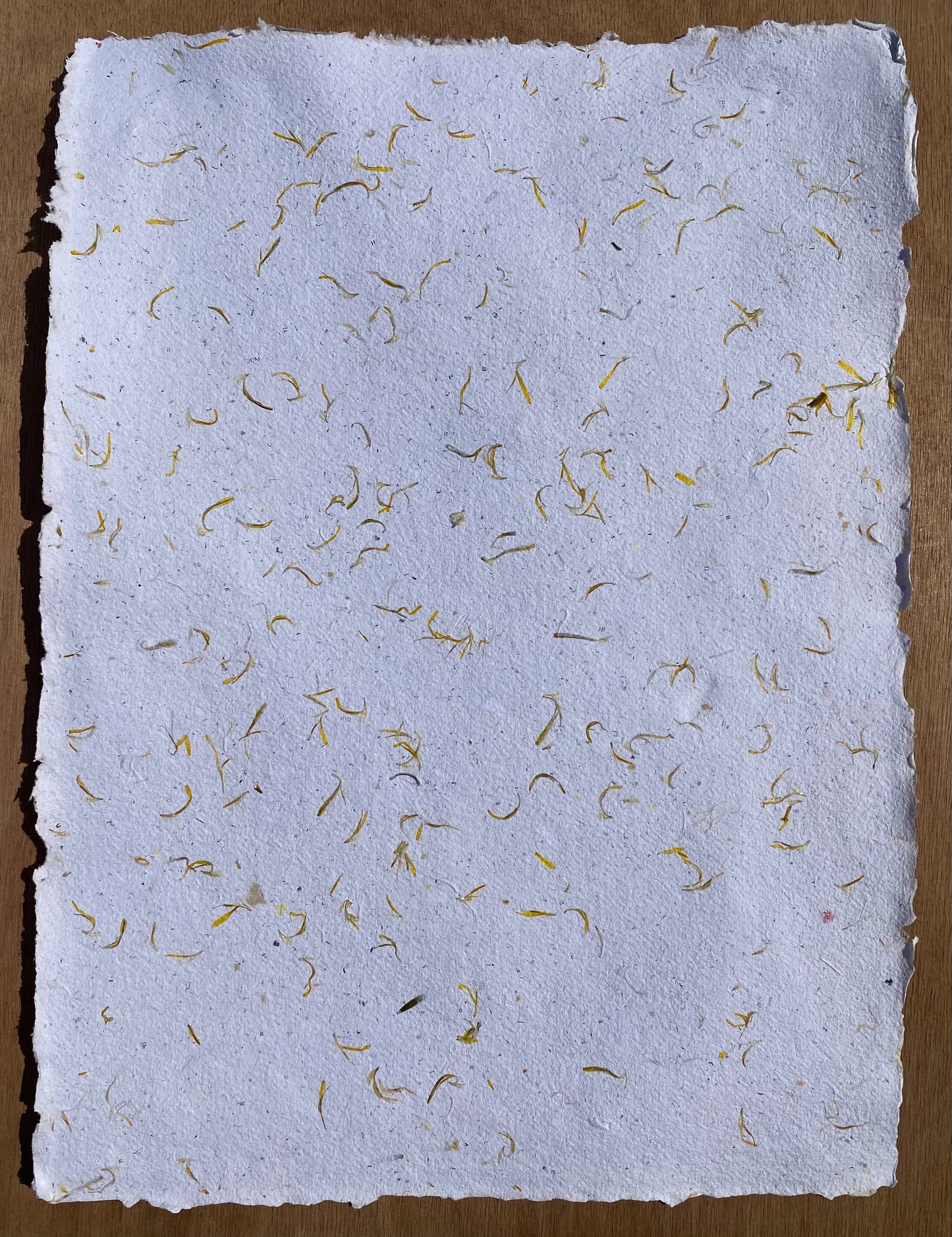 Papier Pissenlit