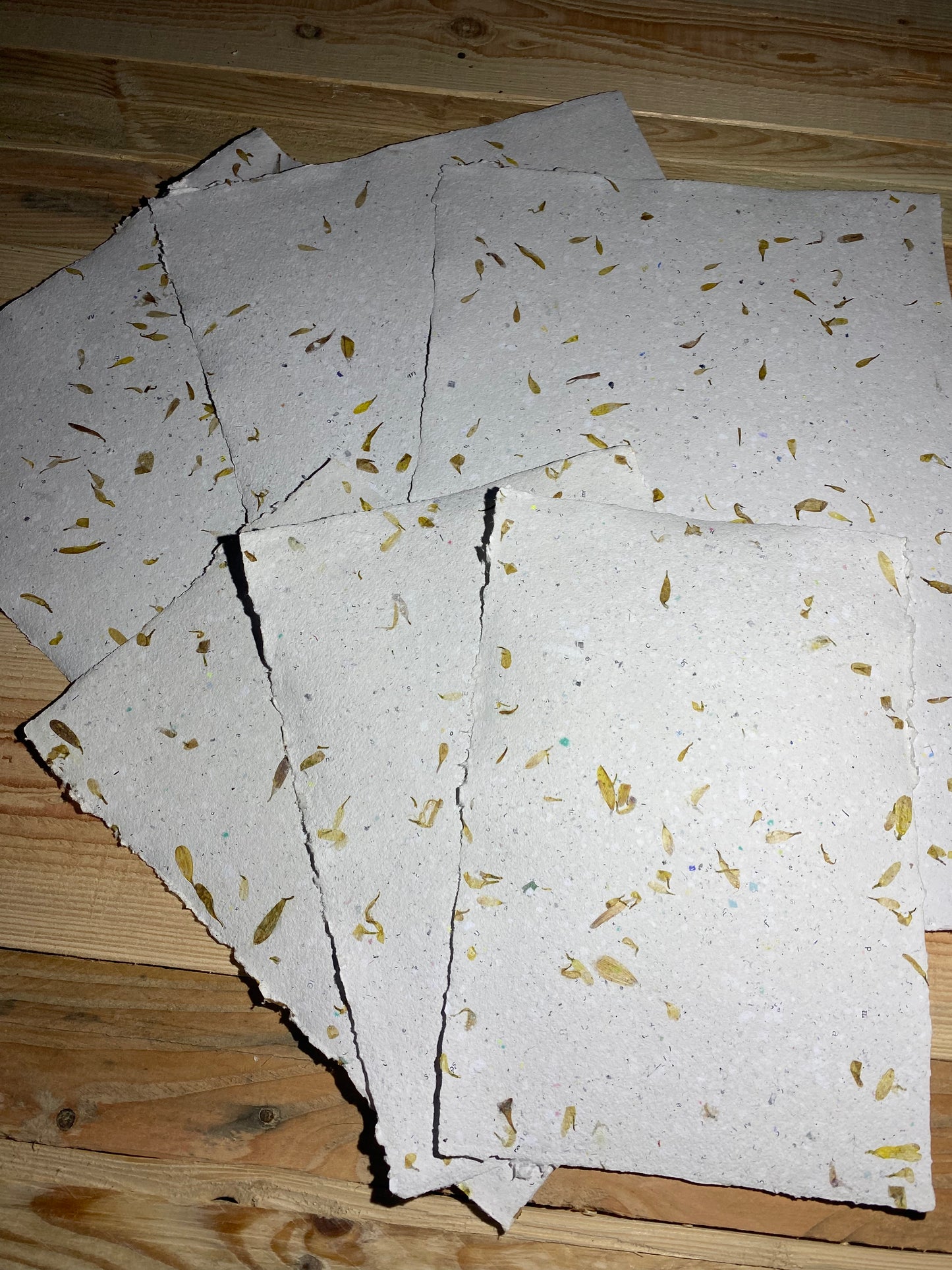 Papier Chrysanthème