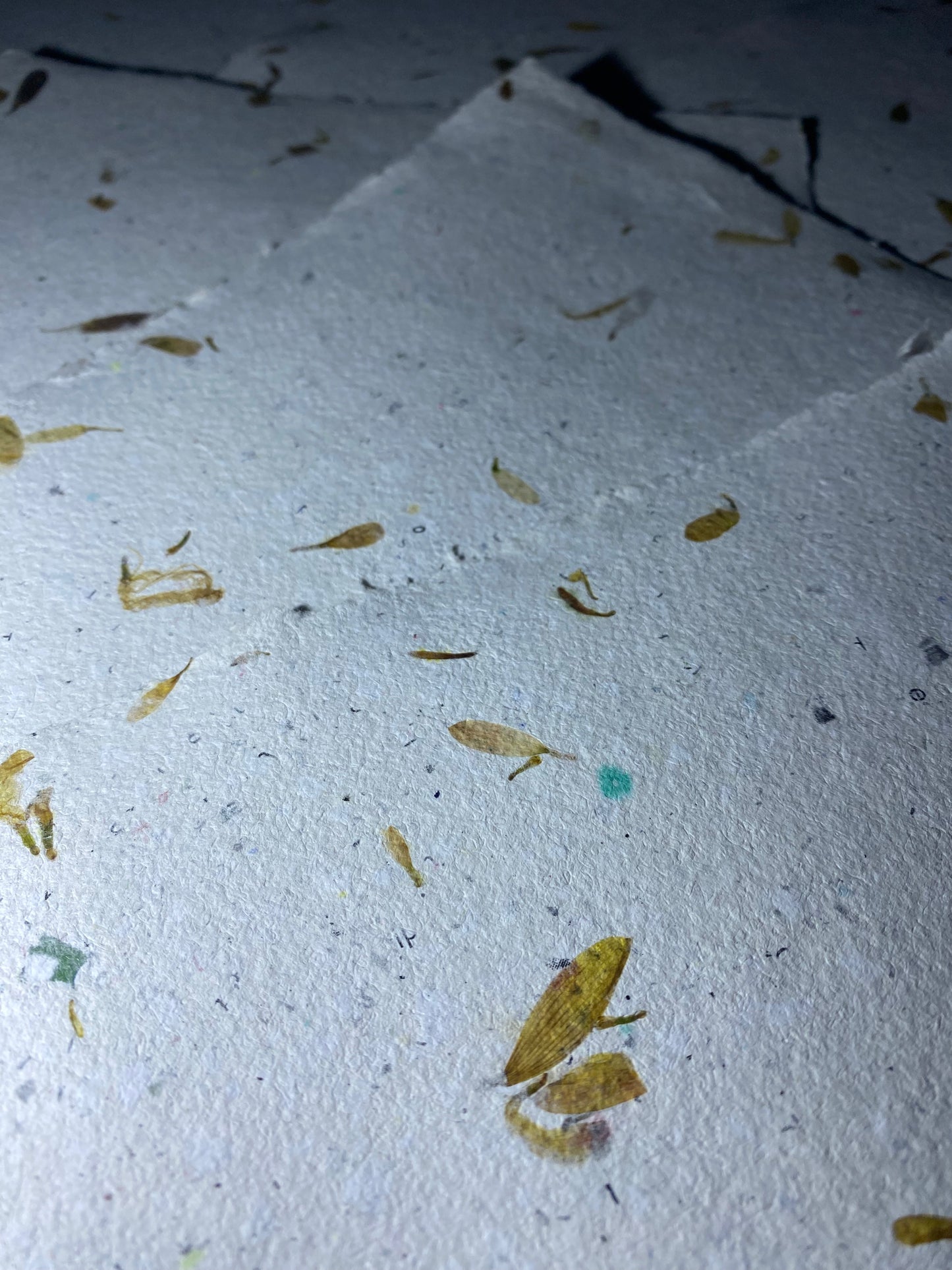 Papier Chrysanthème