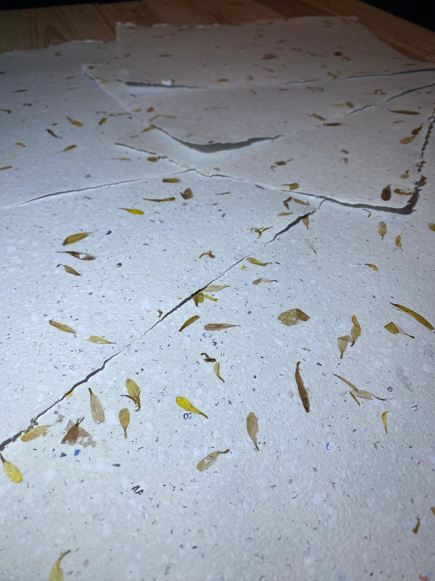 Papier Chrysanthème