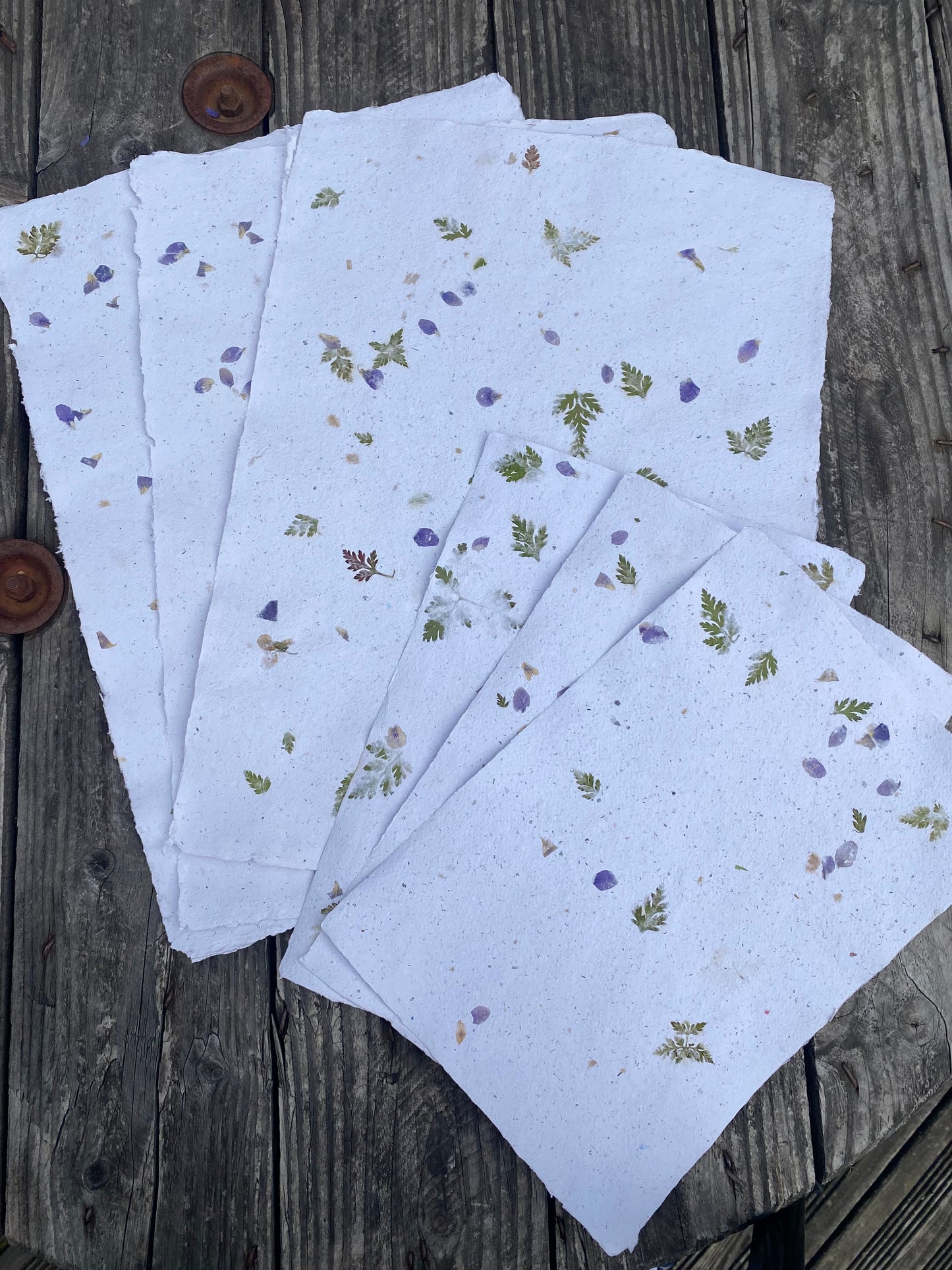 Papier Violette et Géranium sauvages